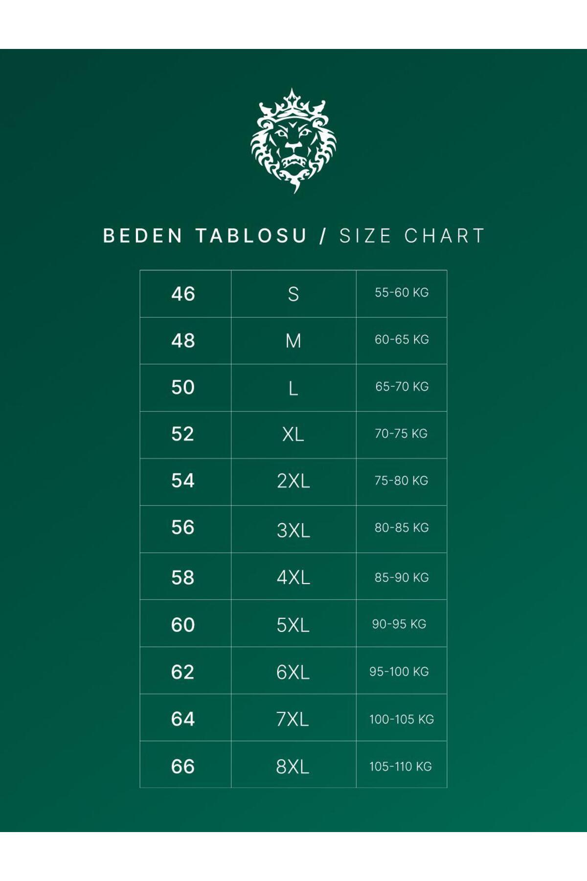 leonmen  Erkek ceket - Görsel 3