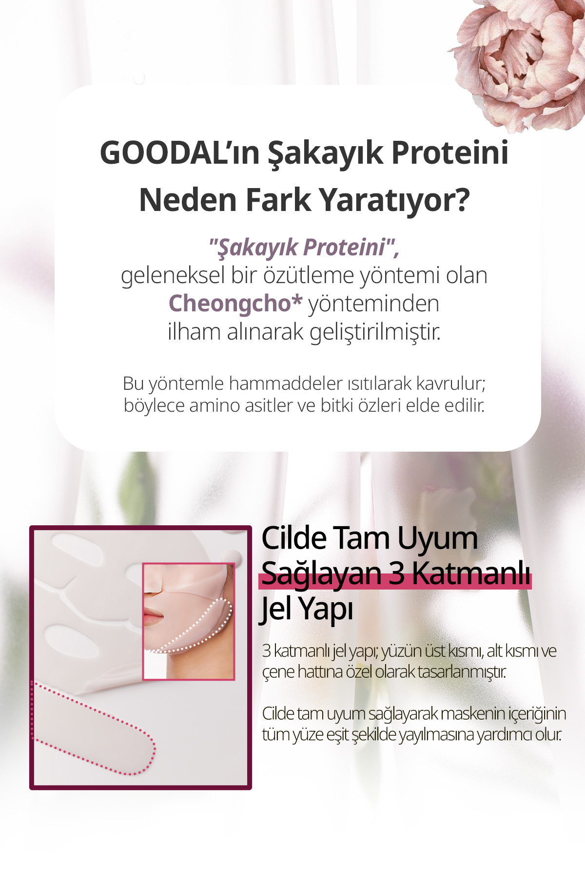 Şeffaflaşan Kolajen Hidrojel Maske Peptit İçerikli Peony Peptide Collagen Volume Gel Mask — 8077 — تصویر 5 از 8