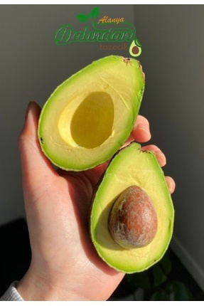 Fruit Paradise 2 kg Mini Boy Avokado 80-160gr (Bebek ve Çocuklar için ideal boy)