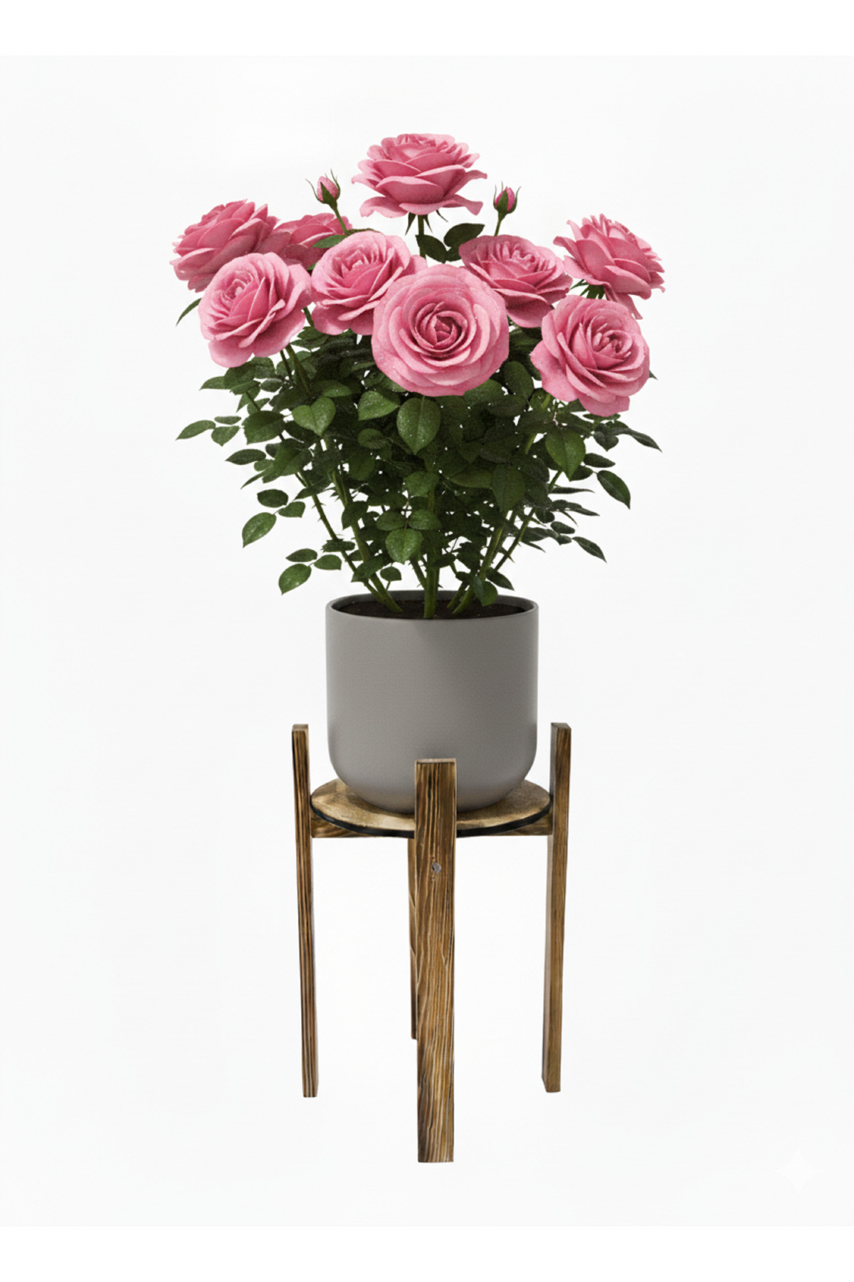 Sedefira Saksılık Altlığı,Saksı Standı,Çiçeklik Altlığı,Saksı Rafı,Saksılık,Saksı Yükseltici 50 cm