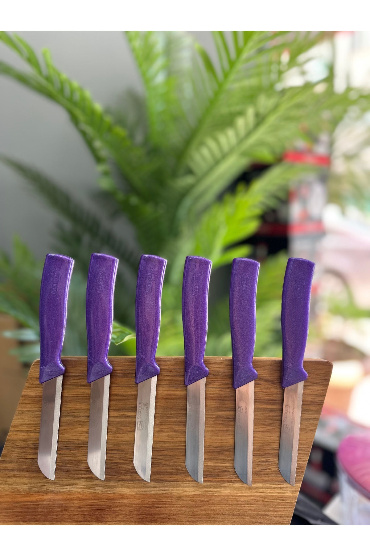 Solingen Tırtıklı Meyve ve Sebze Bıçağı Mor