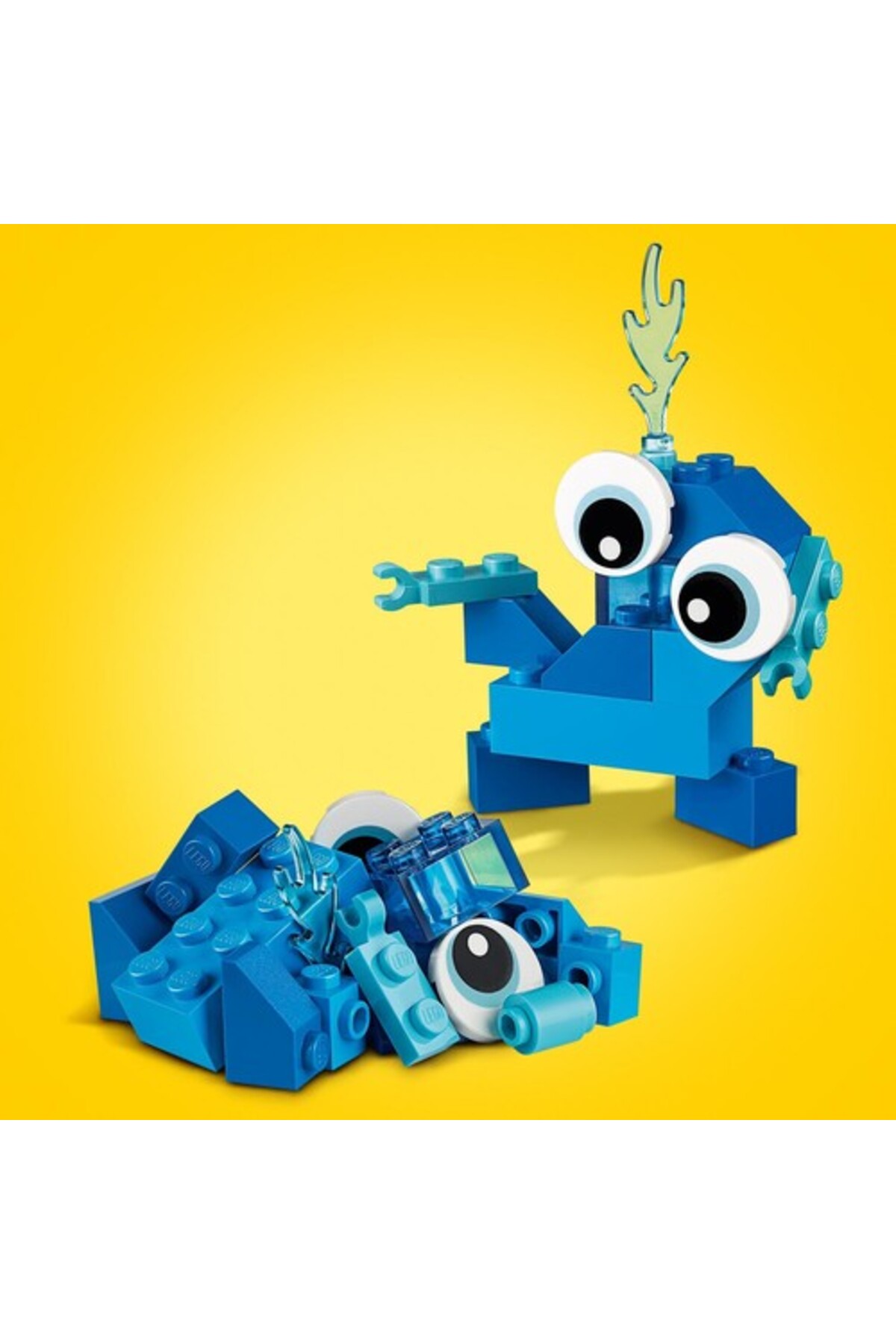 آجرهای آبی کلاسیک، سن ۴ سال