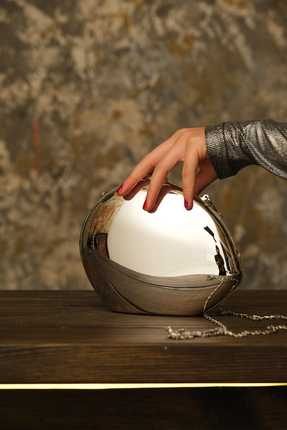 ROZA CANTA Kadın Gümüş Parlak Metal Abiye Dügün Çanta