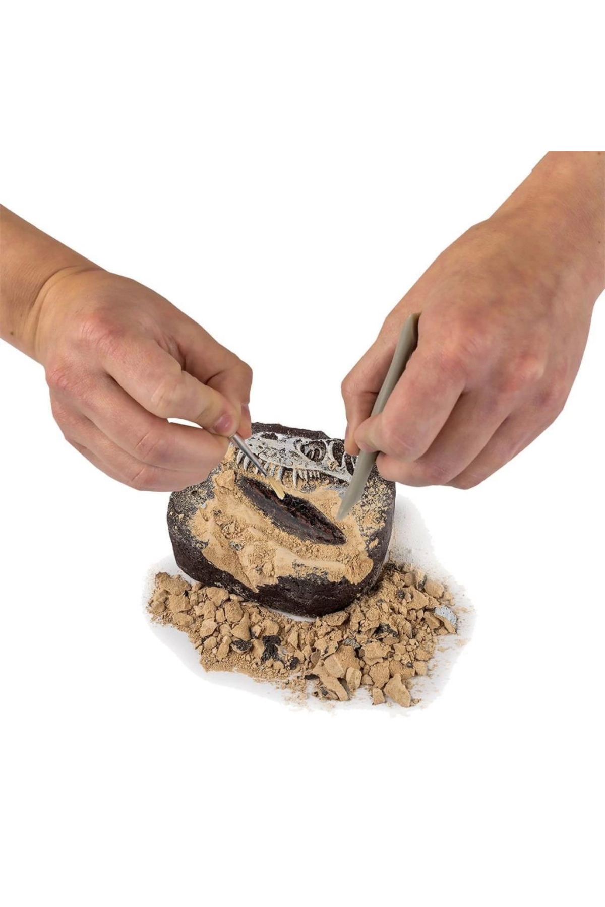 بِ‌اف‌اس کیت حفاری دایناسور Nat06002 - Rtngdino2 +۸ سال