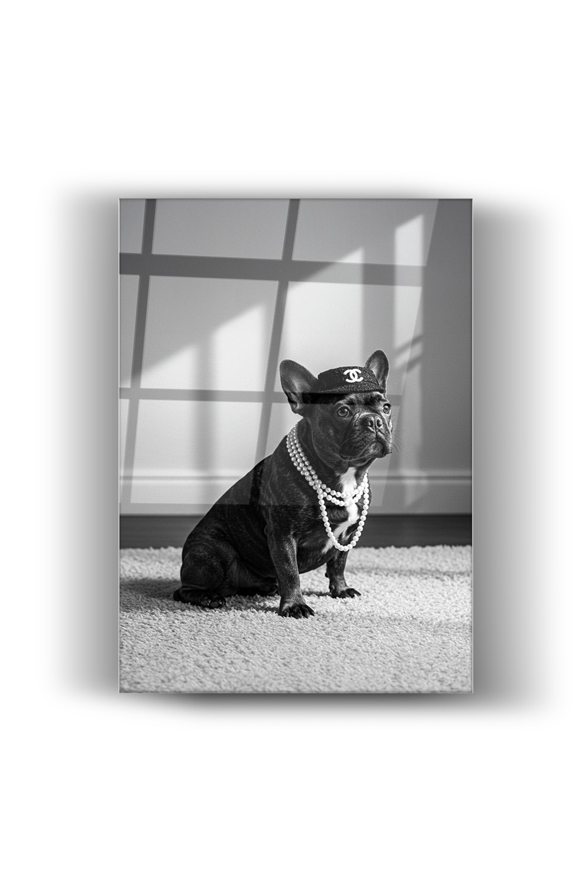 Sevimli Tatlı Siyah Köpek-Cam Tablo- Ev ve Ofis Dekorasyonu