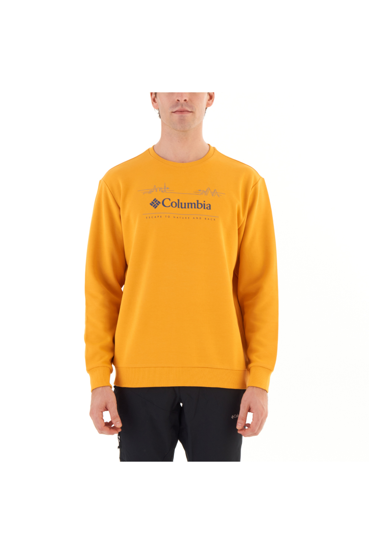 کلمبیا سویشرت مردانه CSC Nature And Back