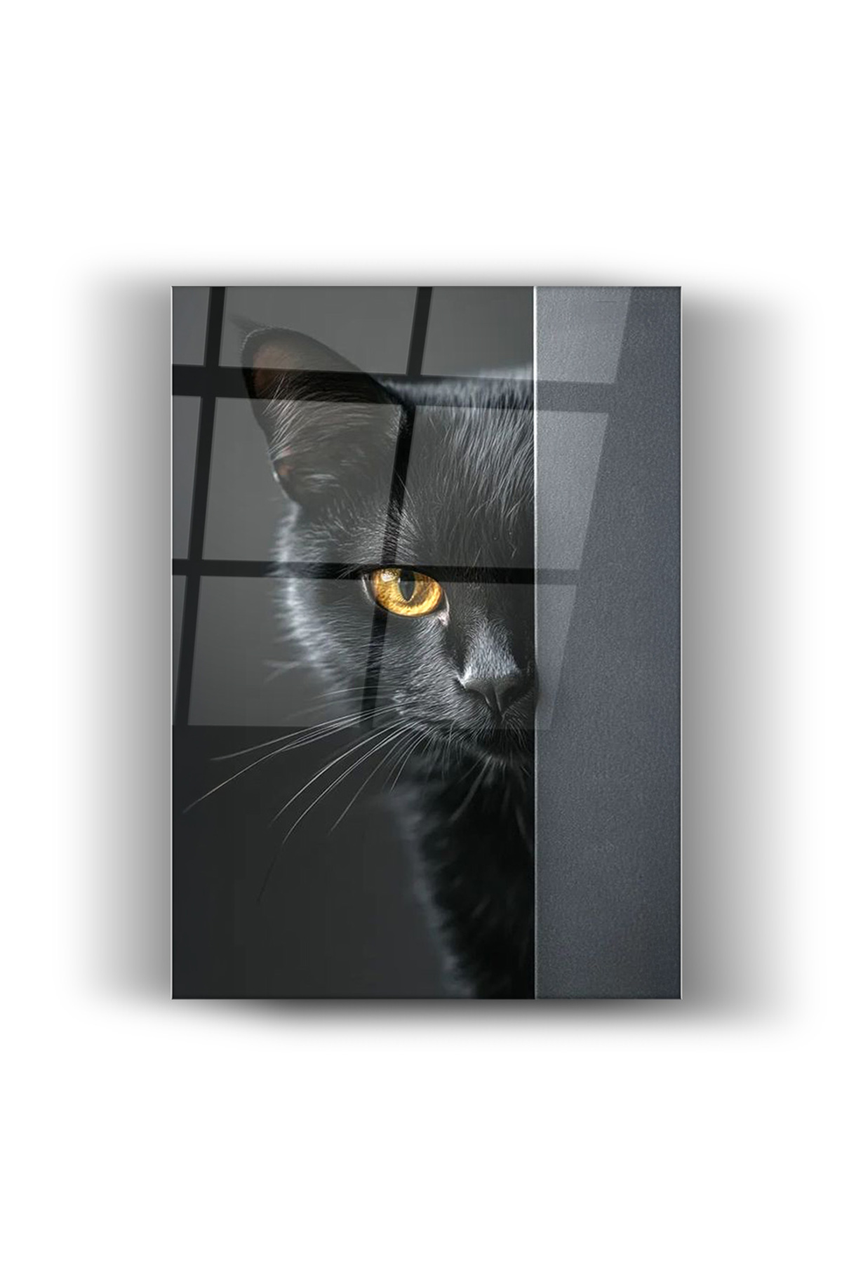 kara kedi-Cam Tablo- Ev ve Ofis Dekorasyonu