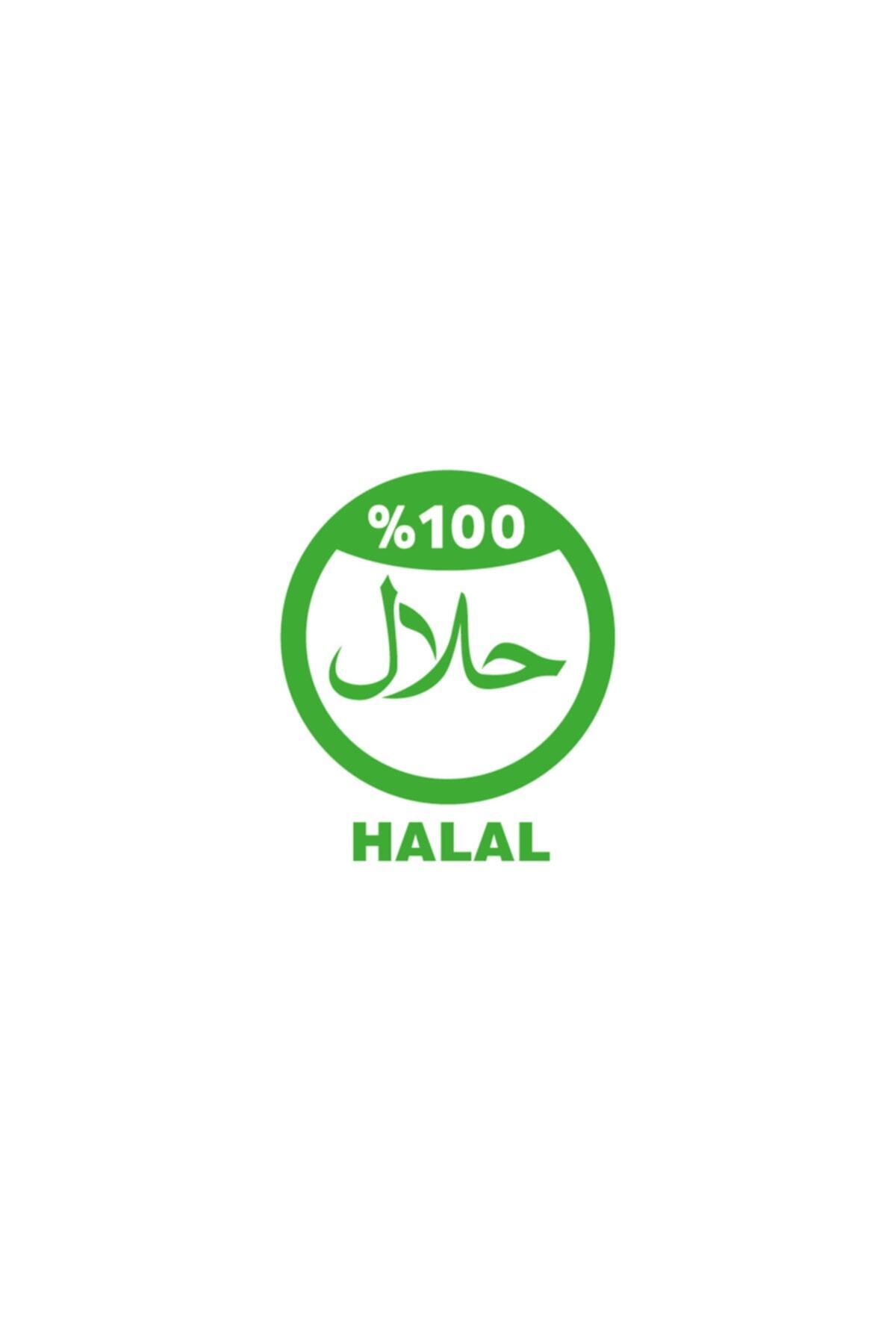 پد روزانه نرمال نچرال ۲۴۰ عددی