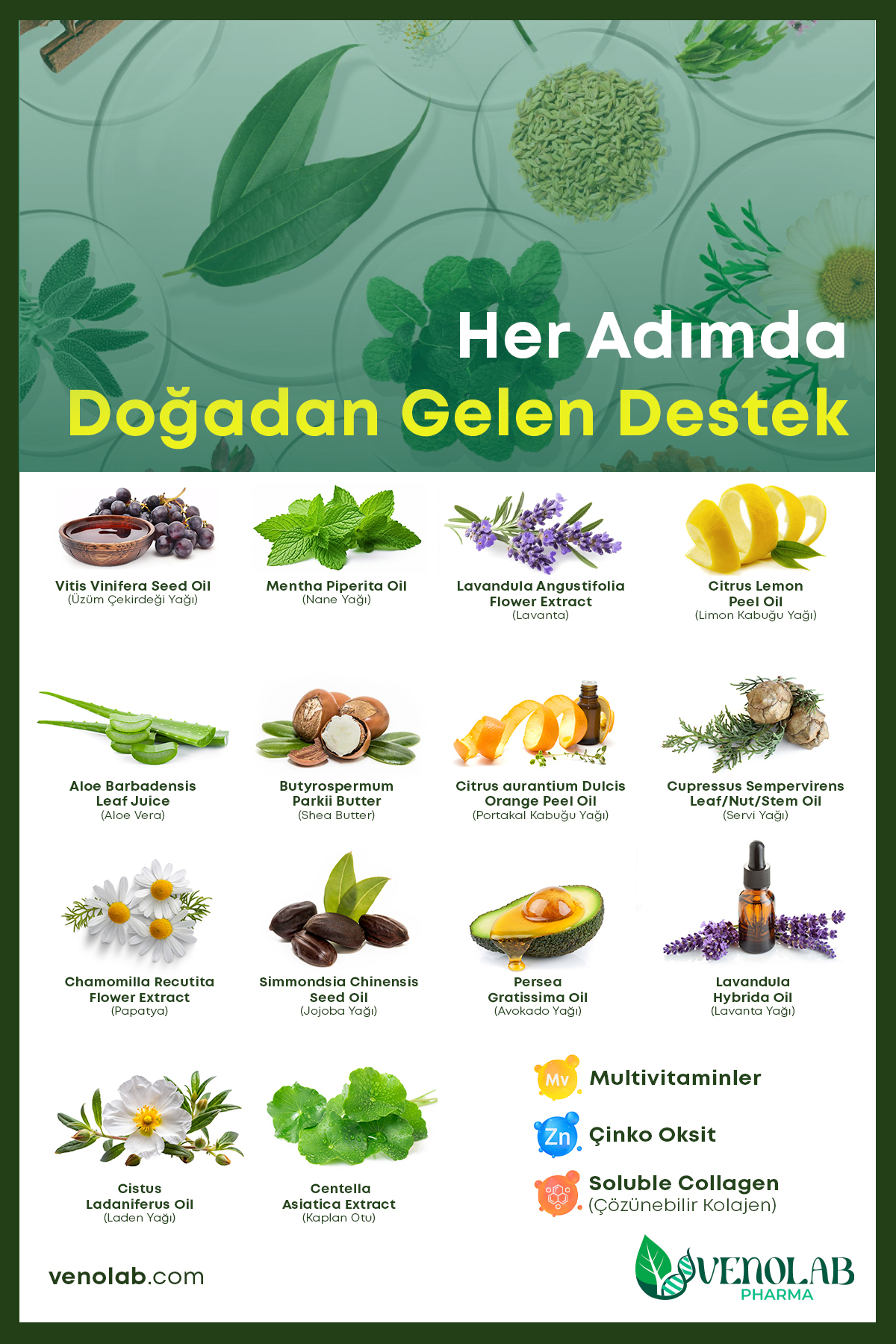 200 ml Nemlendirici Bacak Bakım Kremi (V.ARİS, S.ELÜLİT, L.İPÖDEME ÖZEL) — YOK — تصویر 4 از 8