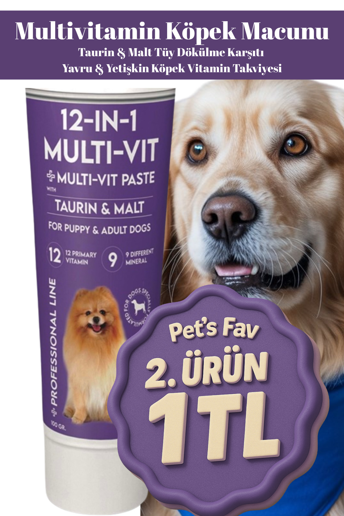Pets Fav Köpek Multivitamin Macunu 12'si 1 Arada Taurin & Malt | Tüy ve Deri Sağlığı 100gr
