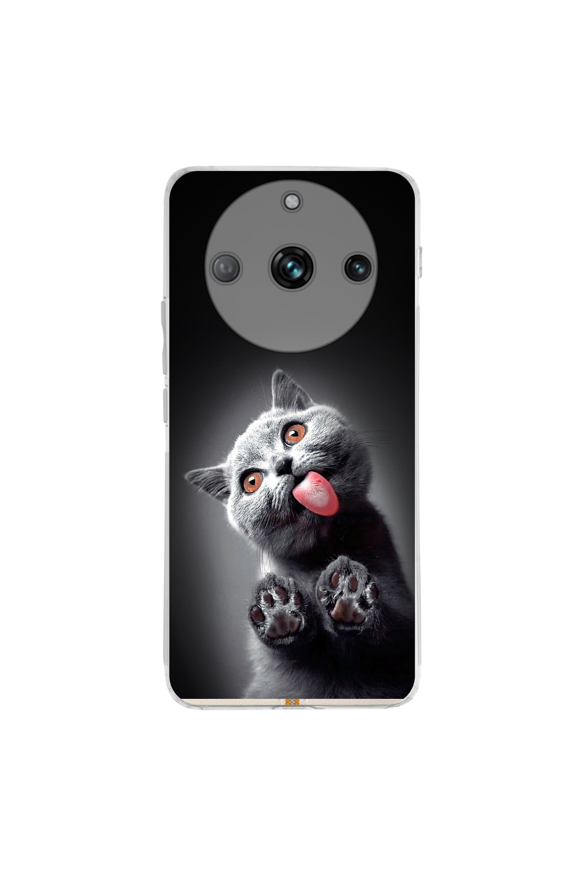 Realme 11 Pro İle Uyumlu Kedi 2 Baskılı Kamera Korumalı Şeffaf Kılıf