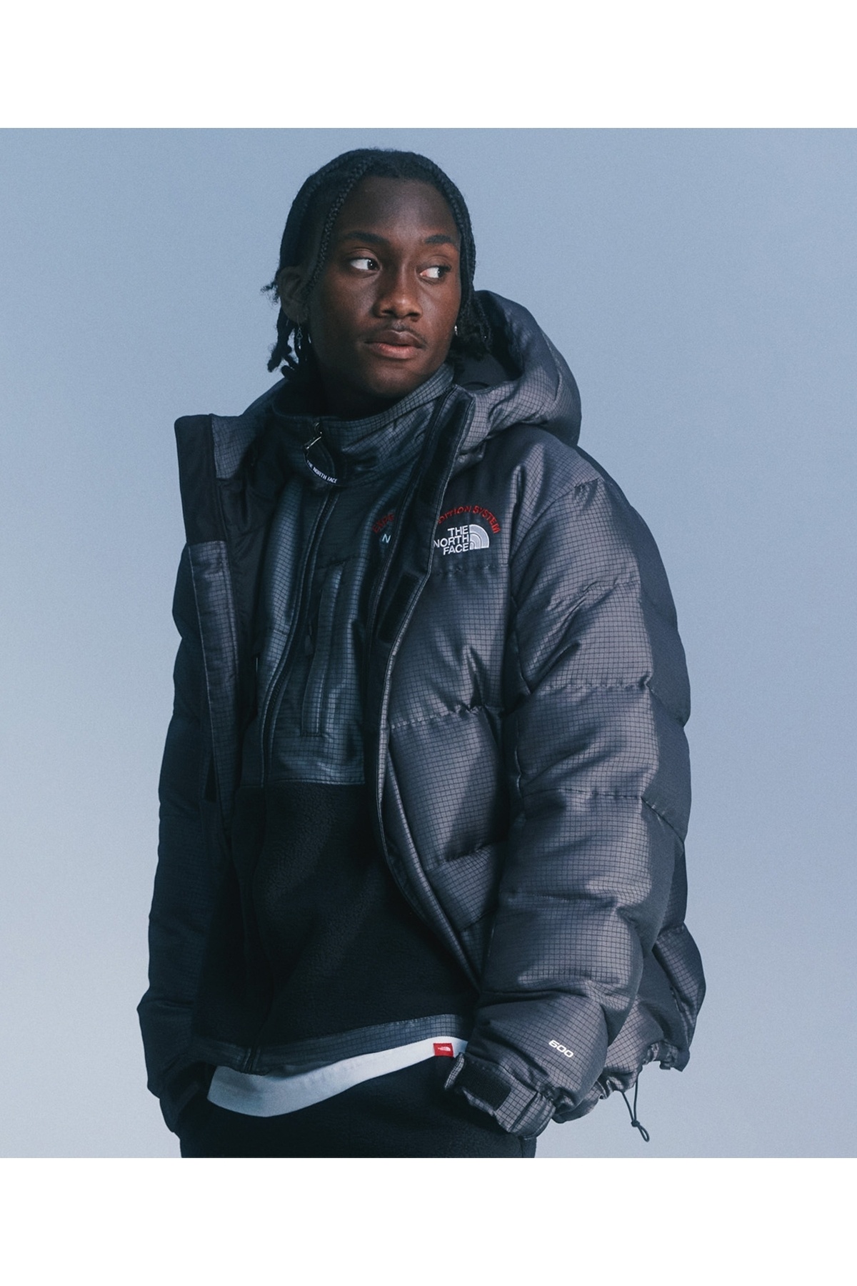 نورث فیس M Hmlyn 30 Anniversary Parka