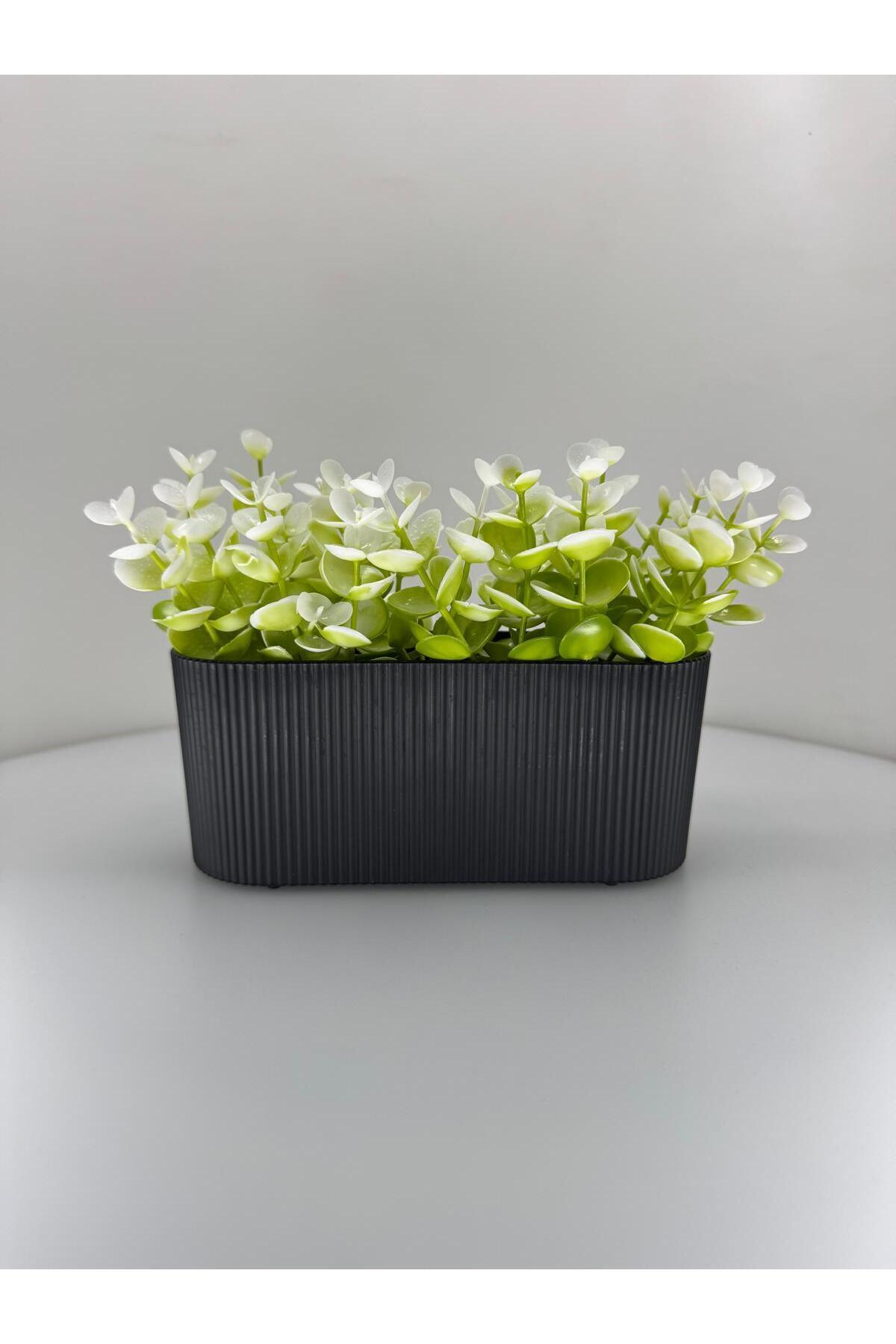 *完成*flower✿様オーダー Cool Concept Flower ayrıcalığıyla seradan özenle seçilen premium