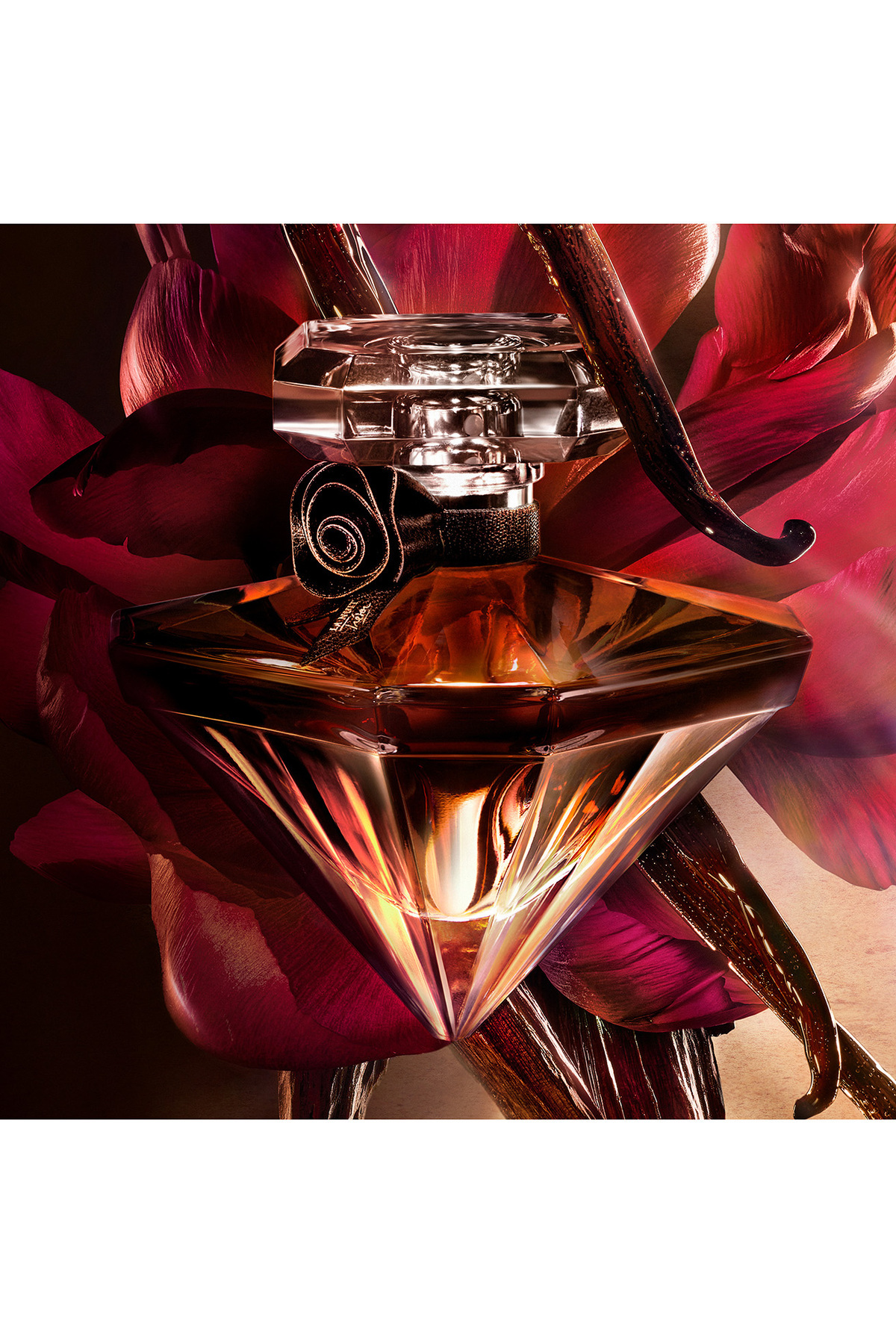عطر زنانه | لنکوم Lancome 5003256541 - تصویر 3