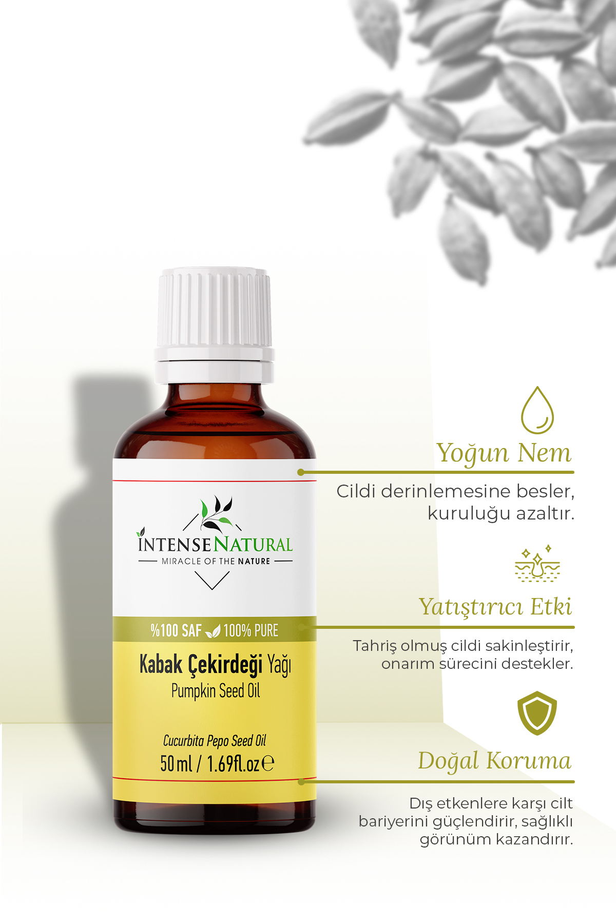 روغن دانه کدو تنبل پرس سرد ۵۰ میلی لیتر × ۲ عدد روغن دانه کدو تنبل ۱۰۰٪ خالص و طبیعی — NTR-1052 — تصویر 5 از 8