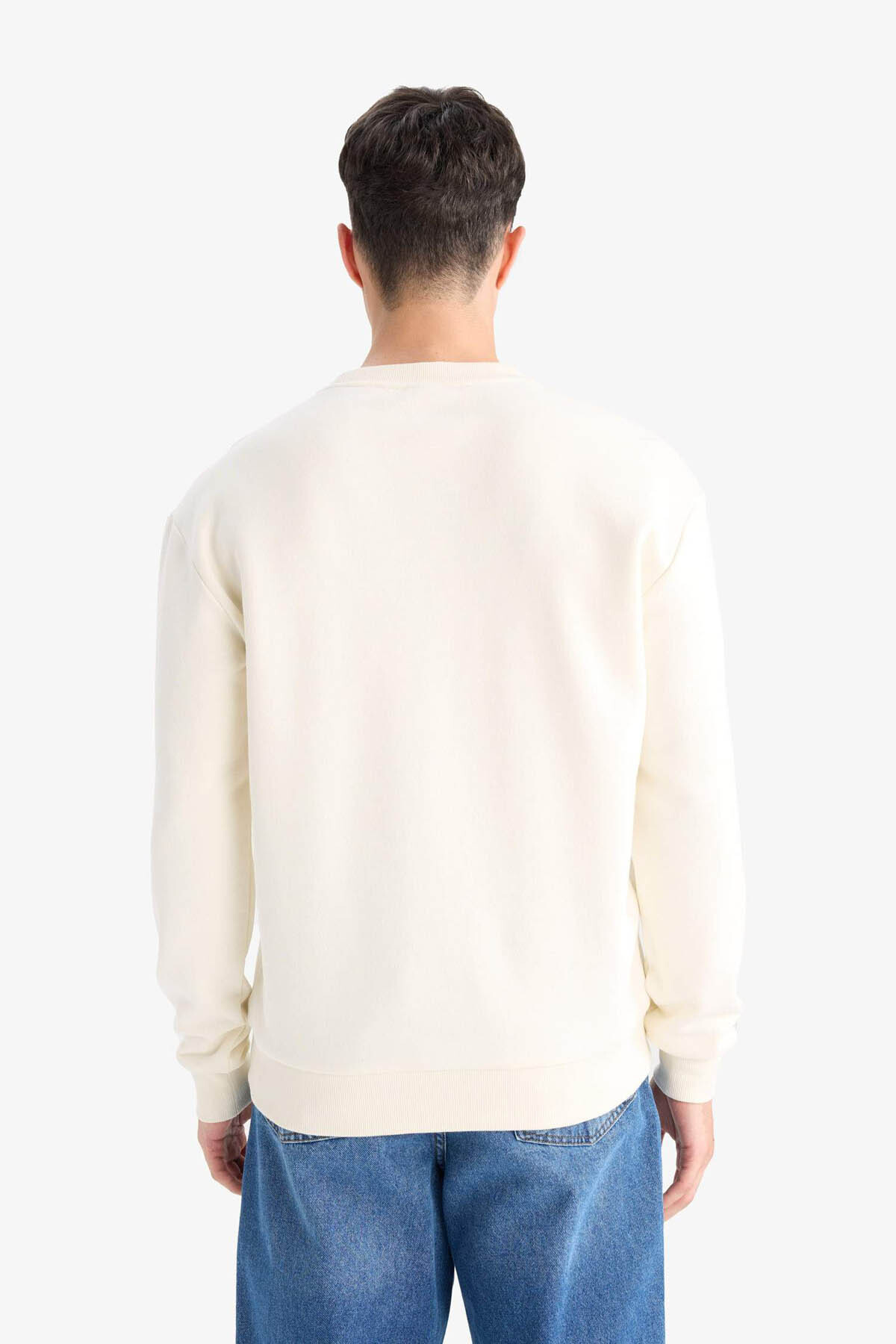 DeFacto Regular Fit Bisiklet Yaka Basic Düz Kalın Sweatshirt T3777AZ25AU görsel 6