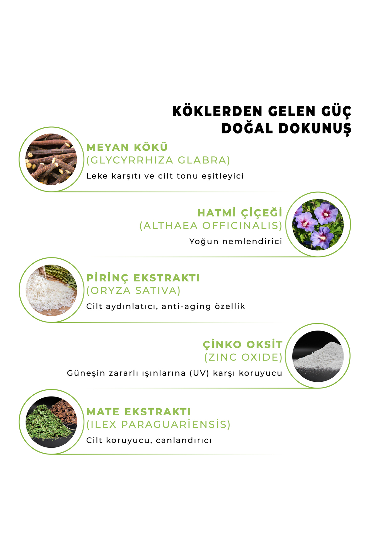 Aliyes Organik Güneş Kremi & Gece Yağı Seti – Hediye Mıknatıslı Kutu + Plaj Çantası — ALIYES Premium 001 — تصویر 9 از 9