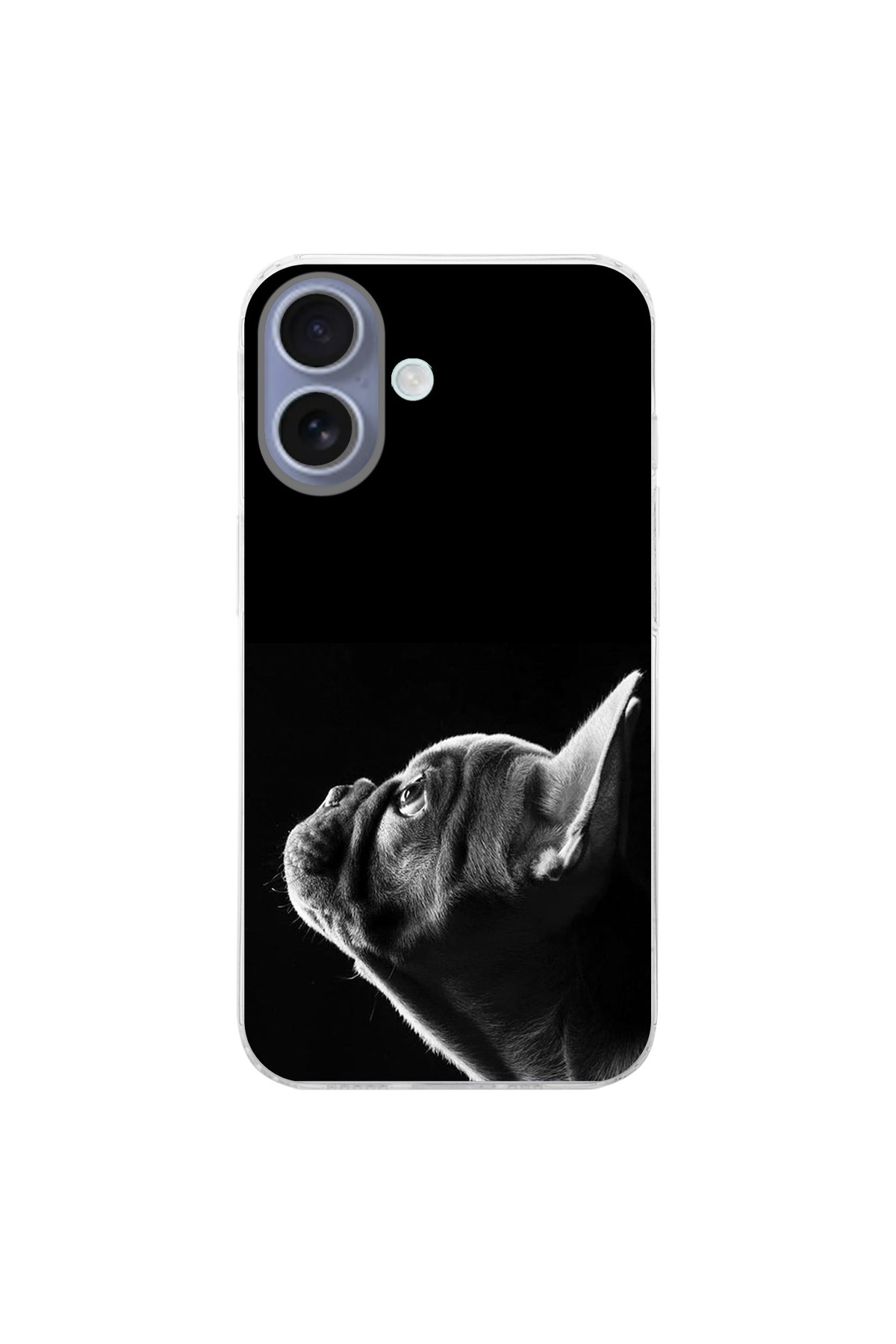 PrintiFy Apple iPhone 16 Plus İle Uyumlu Köpek 1 Baskılı Kamera Korumalı Şeffaf Kılıf