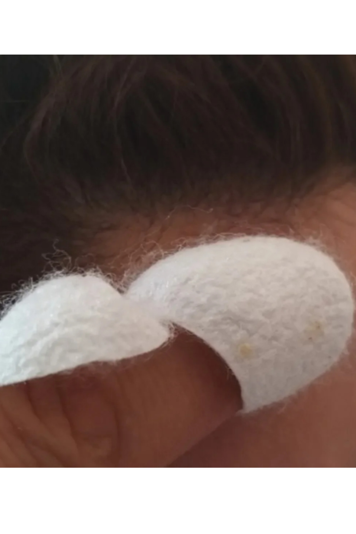 Ipek Böceği Kozası 20 adet Yüz Peelingi Ipekkozası Ipek Kozası Kesik Koza Güncel Mahsul — HOLTECH66TN25TP50 — تصویر 3 از 3