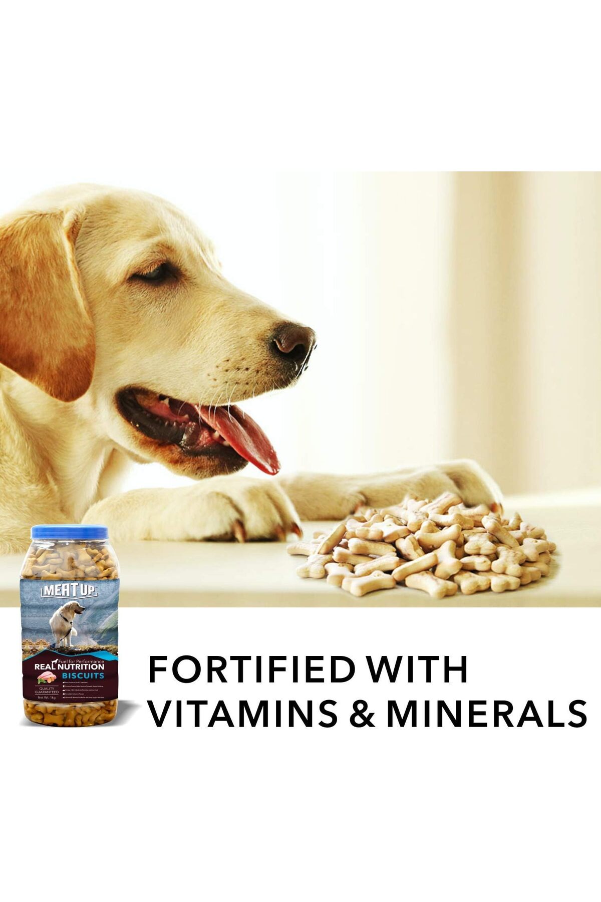 Meat Up Dog Biscuits, Real Chicken, Kg (2 x 500 Gm)- Trendyol