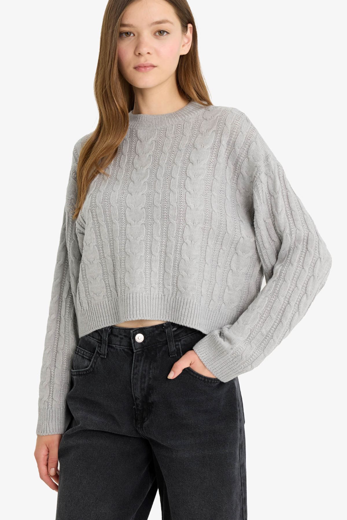 DeFacto Regular Fit Bisiklet Yaka Triko Kazak T4518AZ25WN görsel 2