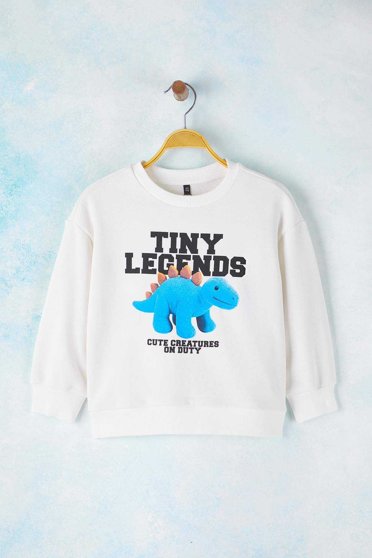 Trendyolmilla Kids Ekru Pamuklu Baskılı Bisiklet Yaka Oversize Erkek Çocuk Örme Sweatshirt TKDAW26SW00040