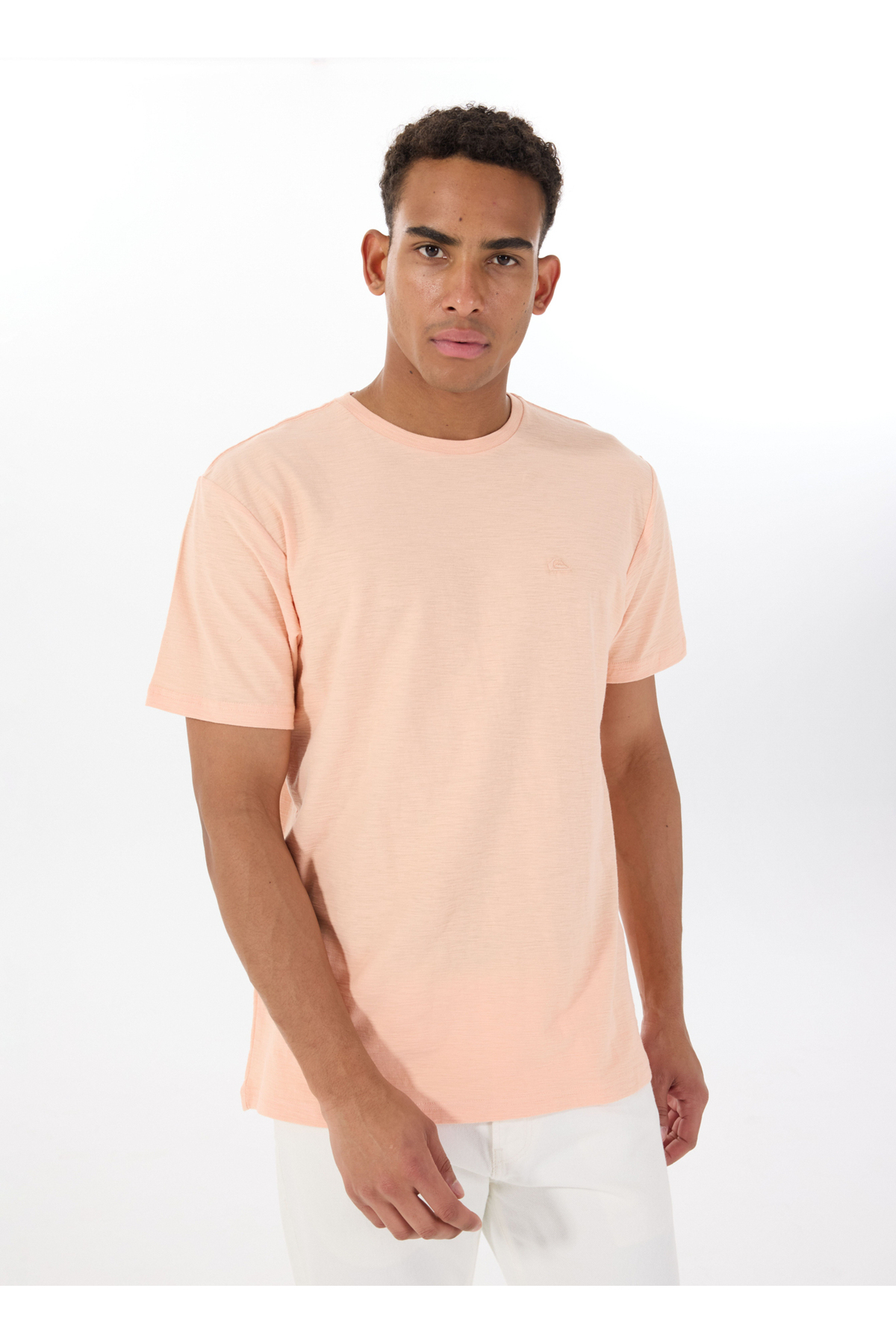 کوییک سیلور تی شرت مردانه یقه گرد طرح ماهی سالمون مدل EQYKT04377