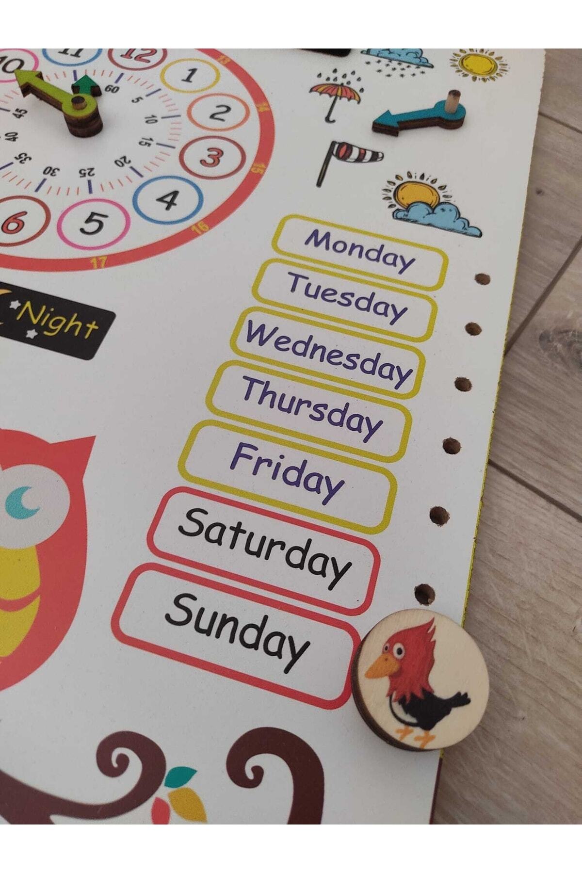 Ankebut Montessori Ingilizce Ahşap Saatli Eğitici Takvim Günler, Aylar, Mevsimler, Hava Durumu, Rakamlar fotoğrafı 4 (önizleme)