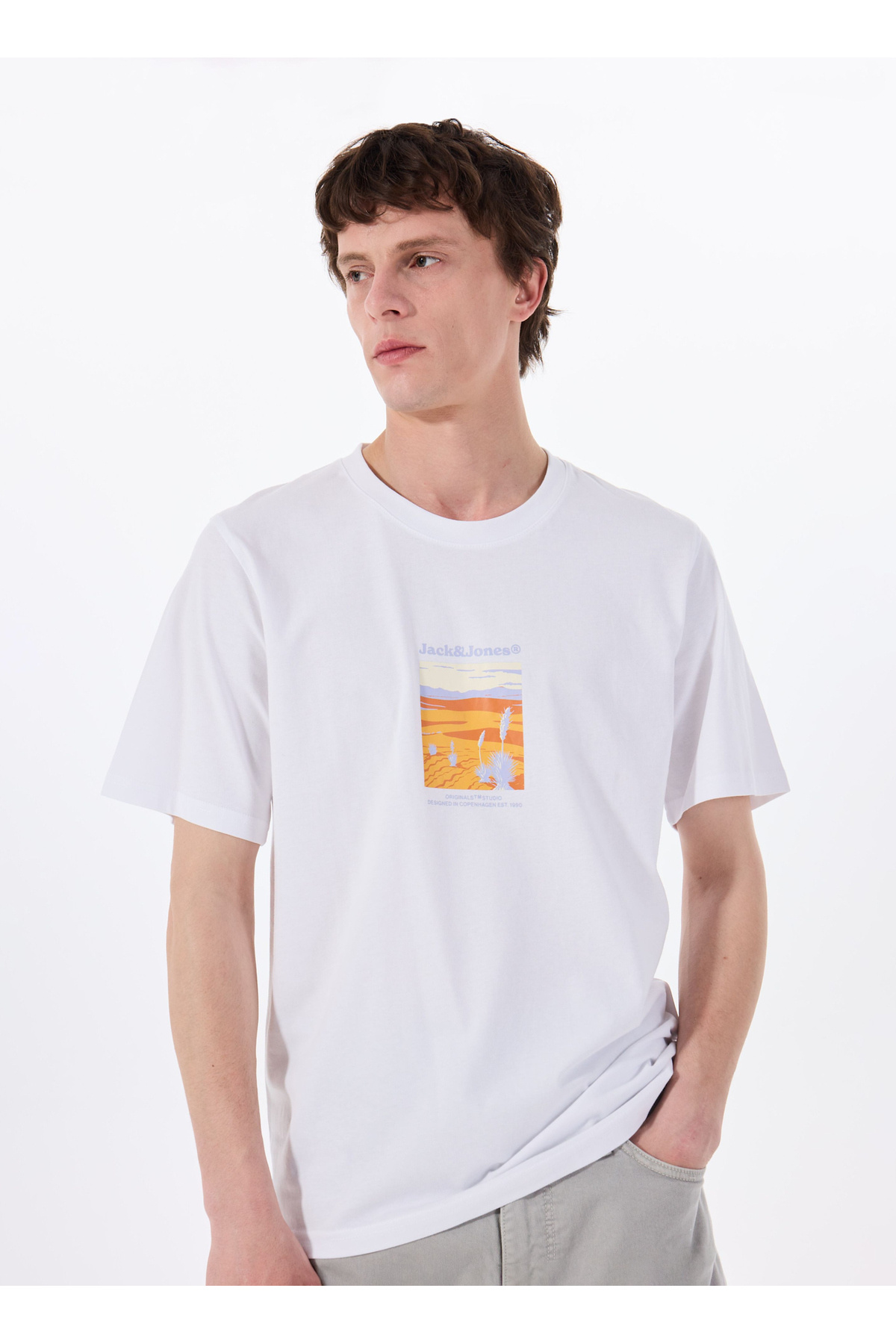 جک اند جونز تی شرت مردانه یقه سفید مردانه 12273000_JORSPLIT GRAPHIC FRONT TEE