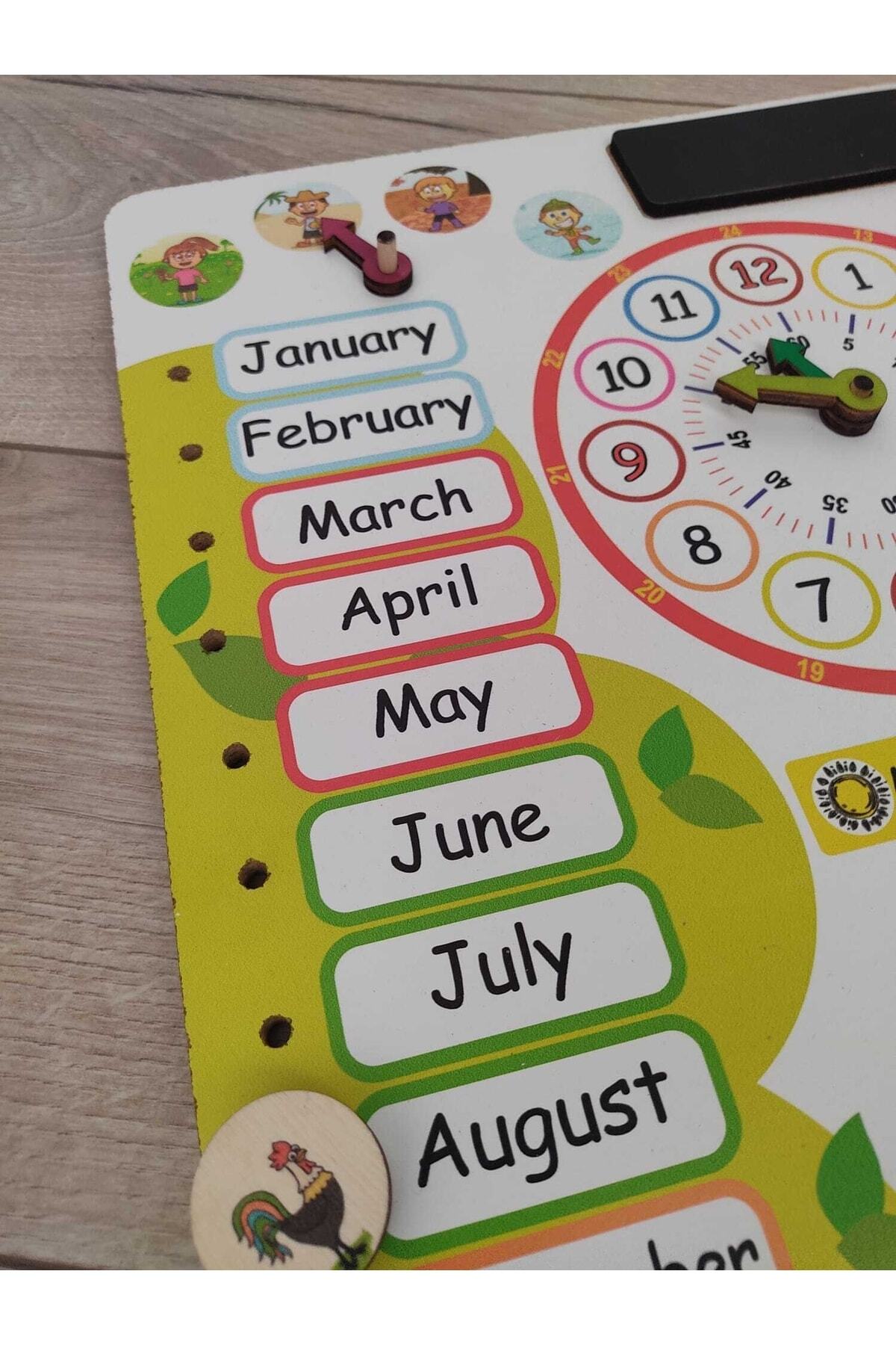 Ankebut Montessori Ingilizce Ahşap Saatli Eğitici Takvim Günler, Aylar, Mevsimler, Hava Durumu, Rakamlar fotoğrafı 3 (önizleme)