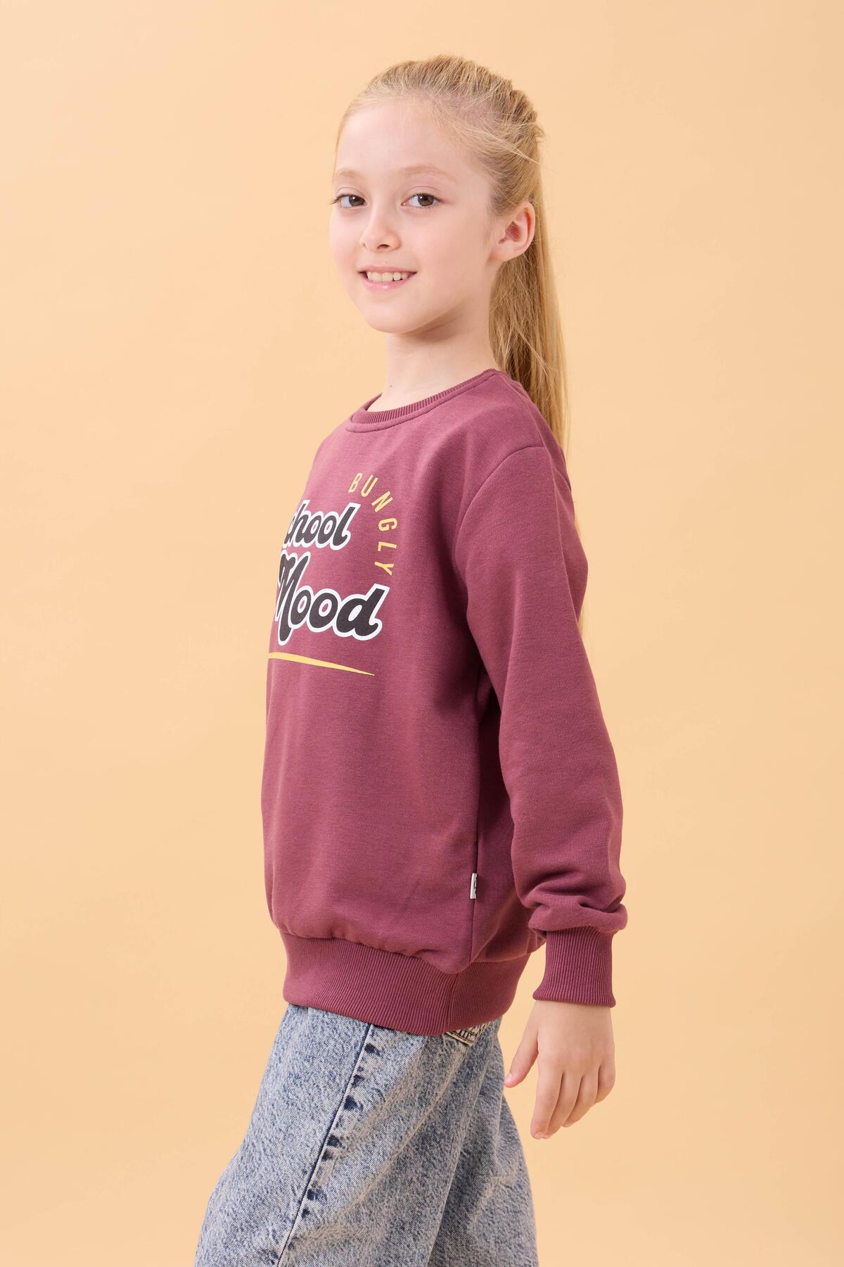 Perendi Erkek ve Kız Çocuk Okul Baskılı Bisiklet Yaka Mevsimlik Sweatshirt Gülkurusu fotoğrafı 3 (önizleme)