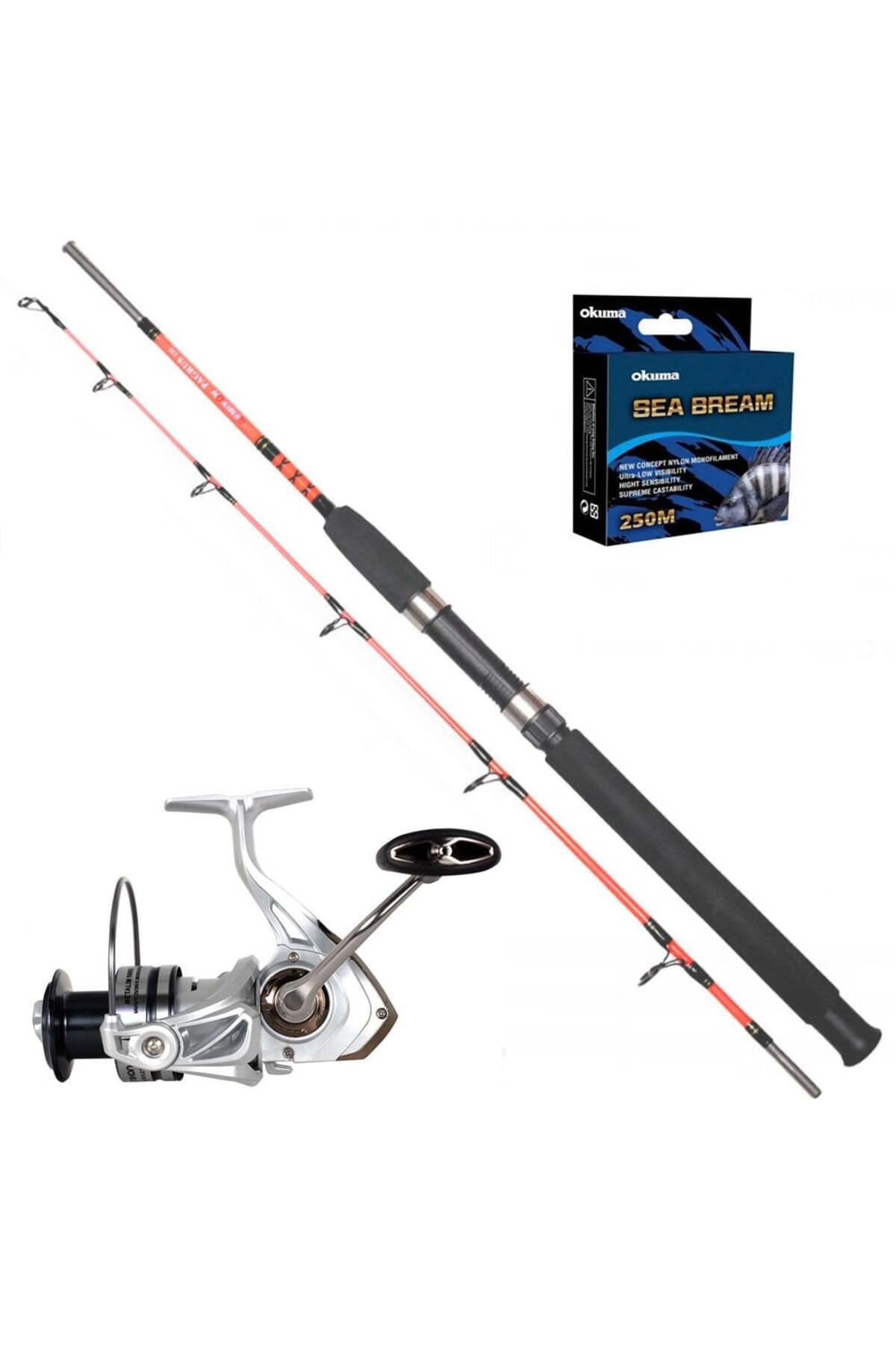 Remixon Metalim 6000 - Pagrus 180cm Tekne Olta Seti - Fiyatı