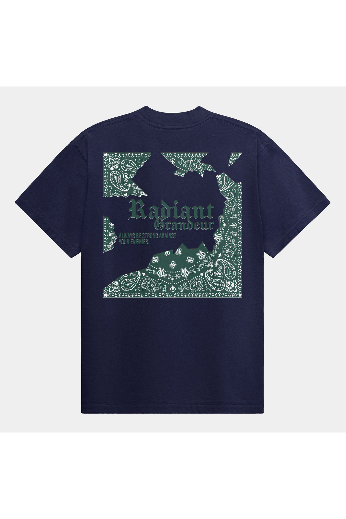 iSmileS Unisex %100 Pamuk RADIANT GRANDEUR Özel Baskılı Oversize Bisiklet Yaka T-Shirt