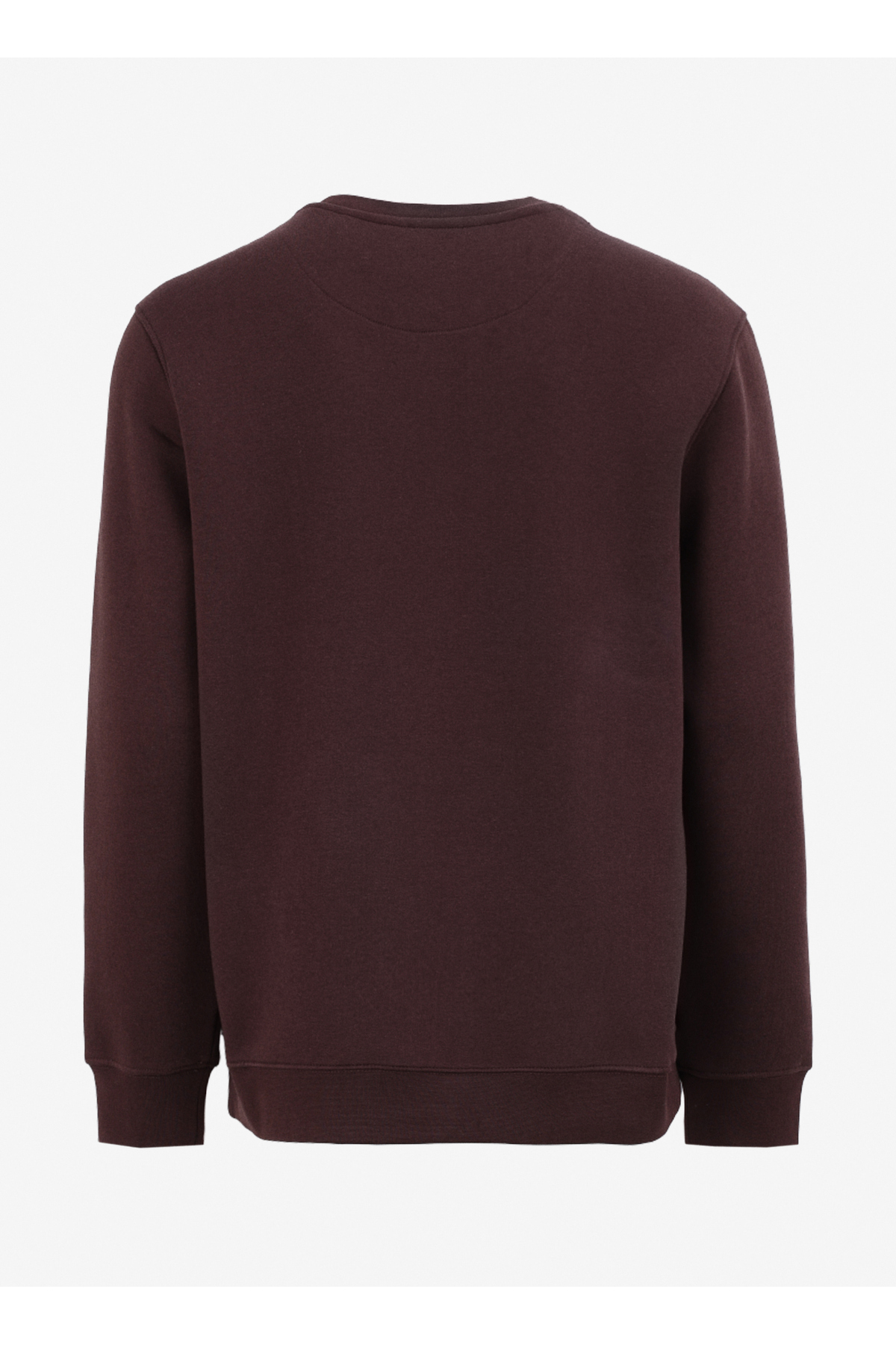 Discovery Expedition Kahve Erkek Bisiklet Yaka Relaxed Fit Nakışlı Sweatshirt D4WM-SWT3078 görsel 2