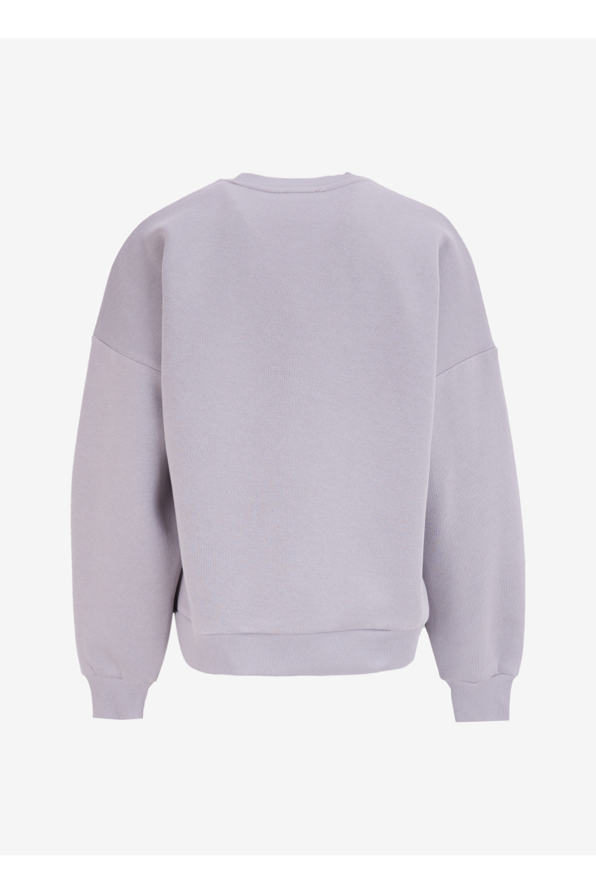 Lee Cooper  O Yaka Baskılı Gri Kadın Sweatshırt 251 LCF 241005 TILA GRİ - Görsel 3