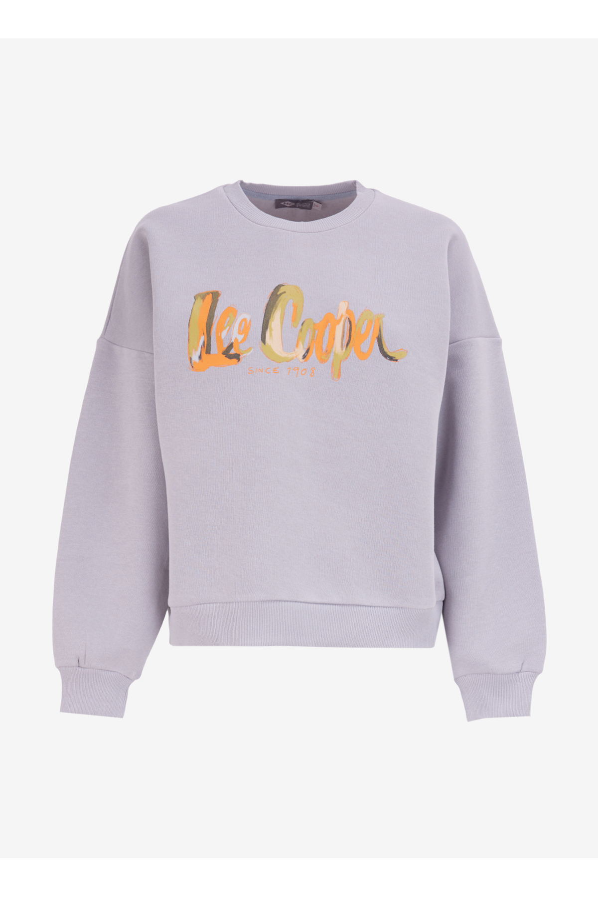 Lee Cooper  O Yaka Baskılı Gri Kadın Sweatshırt 251 LCF 241005 TILA GRİ - Görsel 2