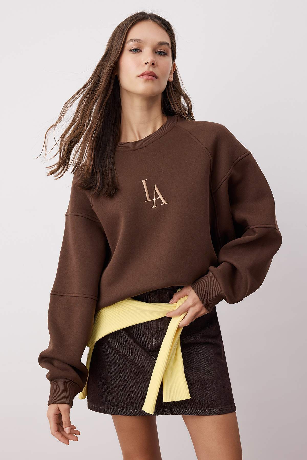 Trendyolmilla  Kahverengi Bisiklet Yaka Regular Fit Nakışlı Kalın İçi Polarlı Örme Sweatshirt TWOAW24SW00199 - Görsel 2