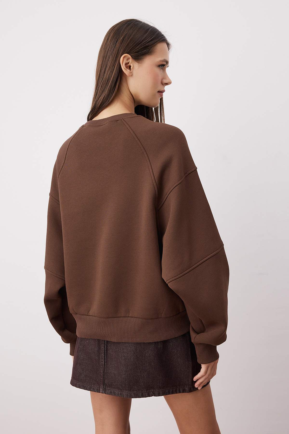 Trendyolmilla  Kahverengi Bisiklet Yaka Regular Fit Nakışlı Kalın İçi Polarlı Örme Sweatshirt TWOAW24SW00199 - Görsel 4