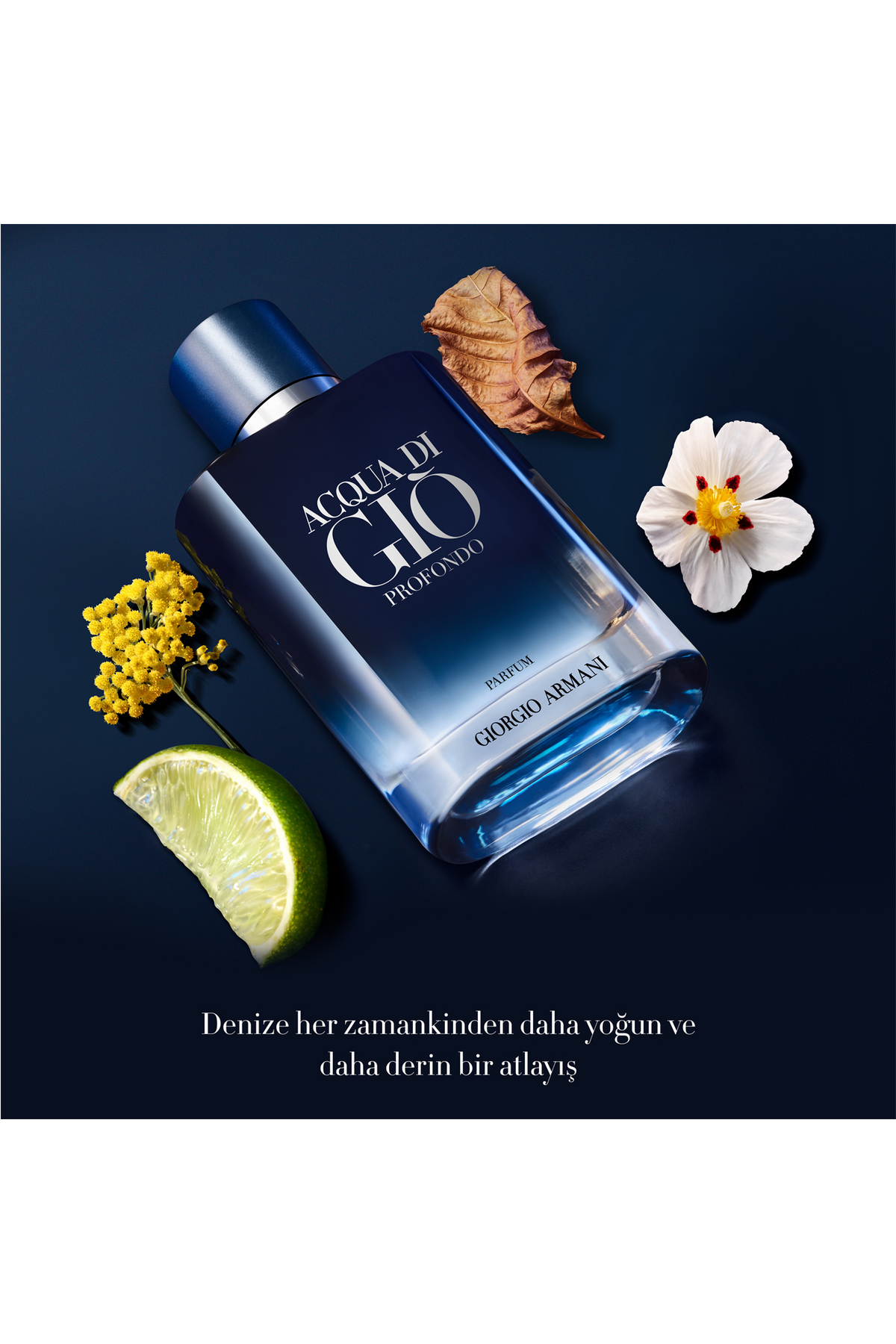 Armani Acqua Di Gio Profondo EDP 50 ml Erkek Parfüm - Fiyatı