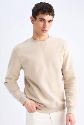 Defacto Regular Fit Bisiklet Yaka Kalın Basic Düz Sweatshirt T3777AZ25SP