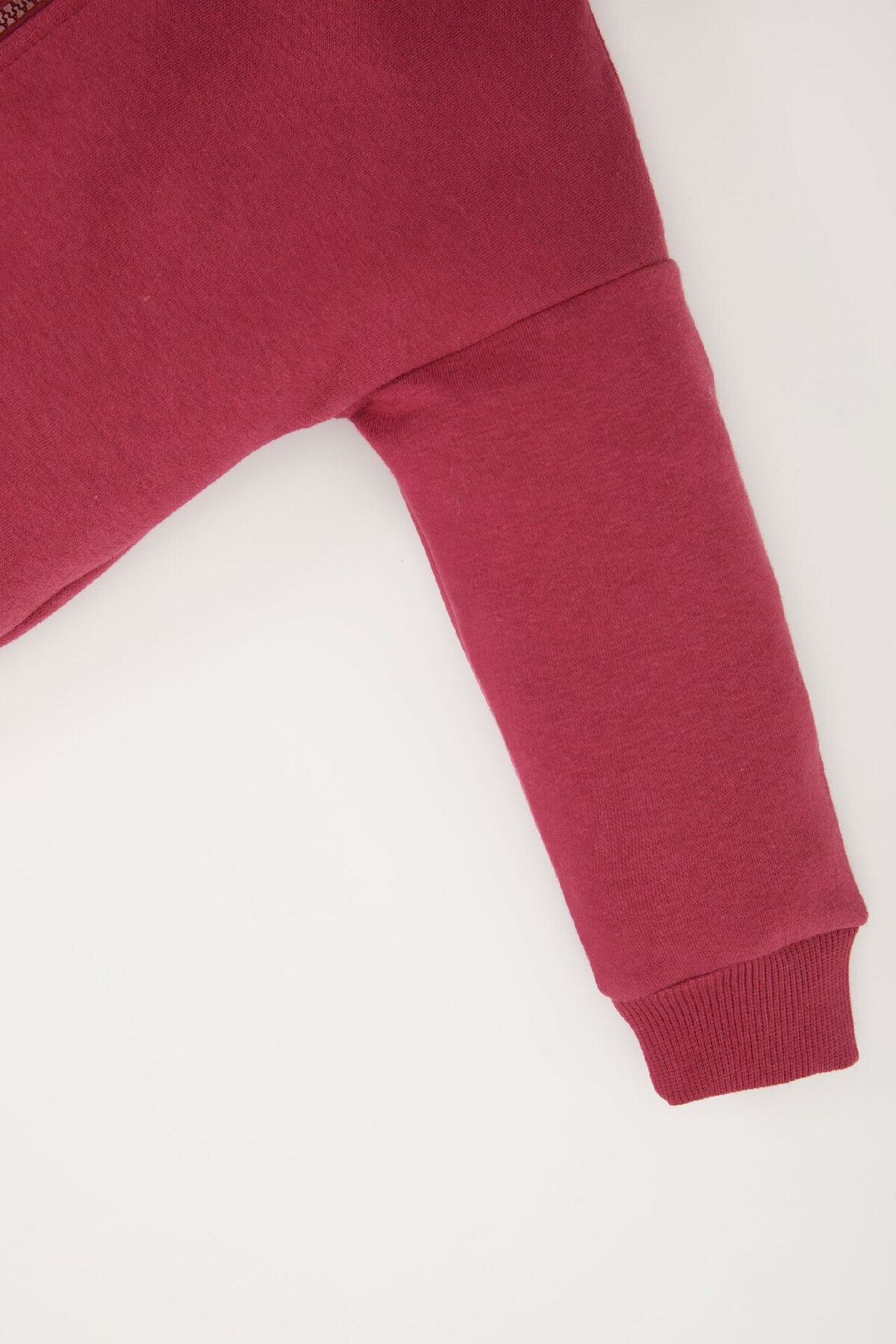 Defacto Kız Bebek Kapüşonlu Basic Düz İçi Yumuşak Tüylü Fermuarlı Sweatshirt D0750A524AU fotoğrafı 3 (önizleme)