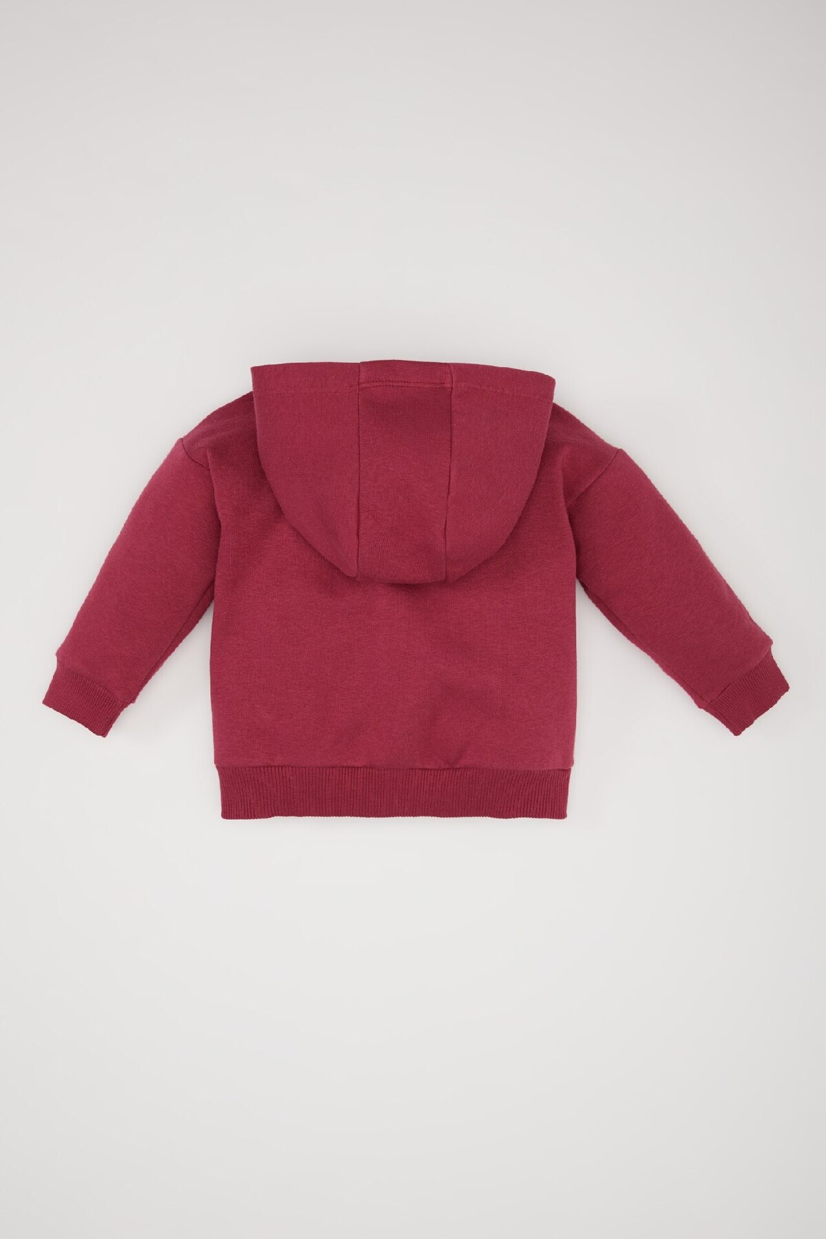 Defacto Kız Bebek Kapüşonlu Basic Düz İçi Yumuşak Tüylü Fermuarlı Sweatshirt D0750A524AU fotoğrafı 4 (önizleme)