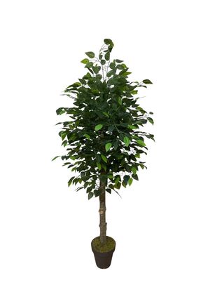 ŞA-DAL STORE Yapay Benjamin Ağacı 120 Cm Yoğun Yapraklı (Plastik Saksılı)