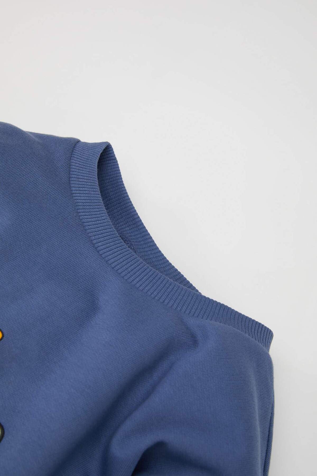 Defacto Erkek Bebek 2li Takım Looney Tunes Bisiklet Yaka Sweatshirt Beli Lastikli Eşofman Altı D5934A524WN fotoğrafı 3 (önizleme)