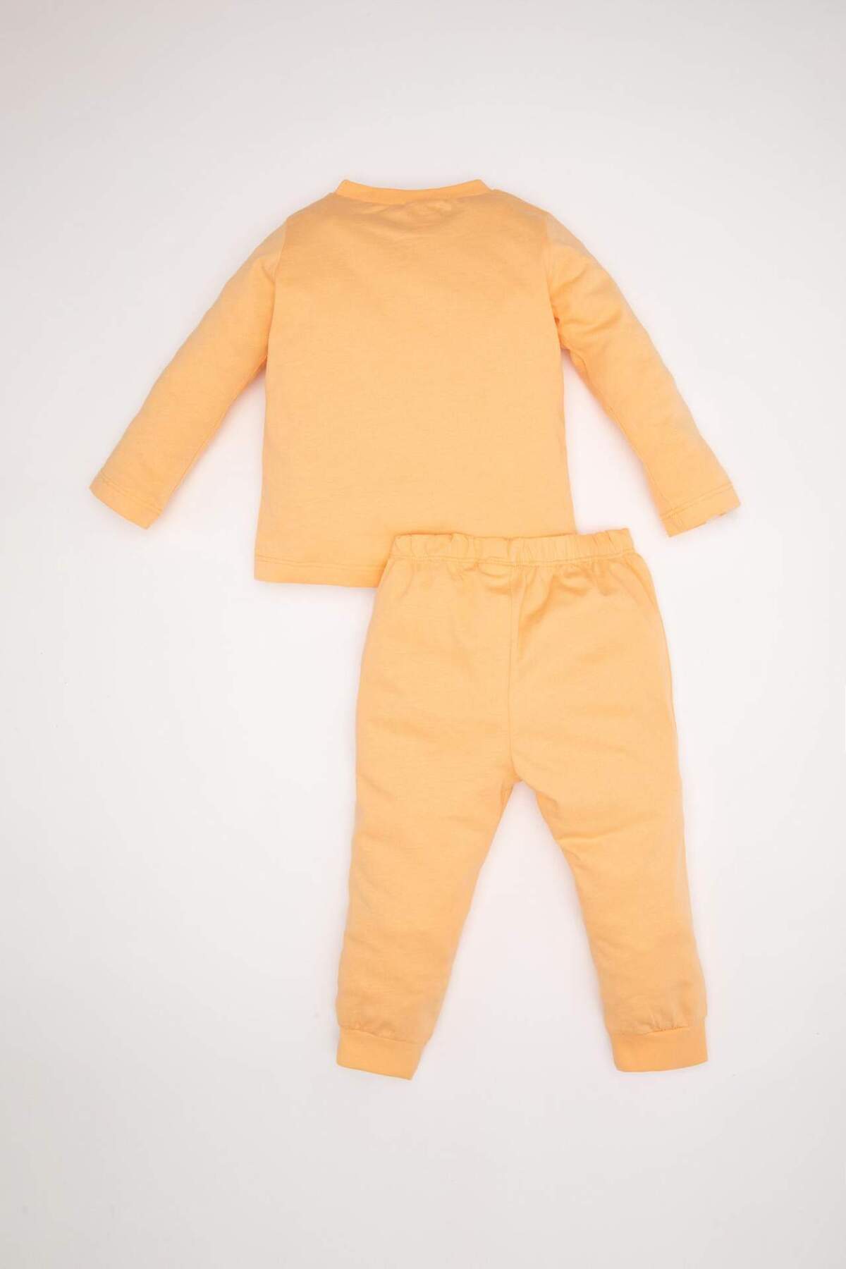 Defacto Kız Bebek Pijama Takımı Penye 4lü Meyve Desenli Uzun Kollu Üst Beli Lastikli Uzun Alt D6798A5NS fotoğrafı 7 (önizleme)