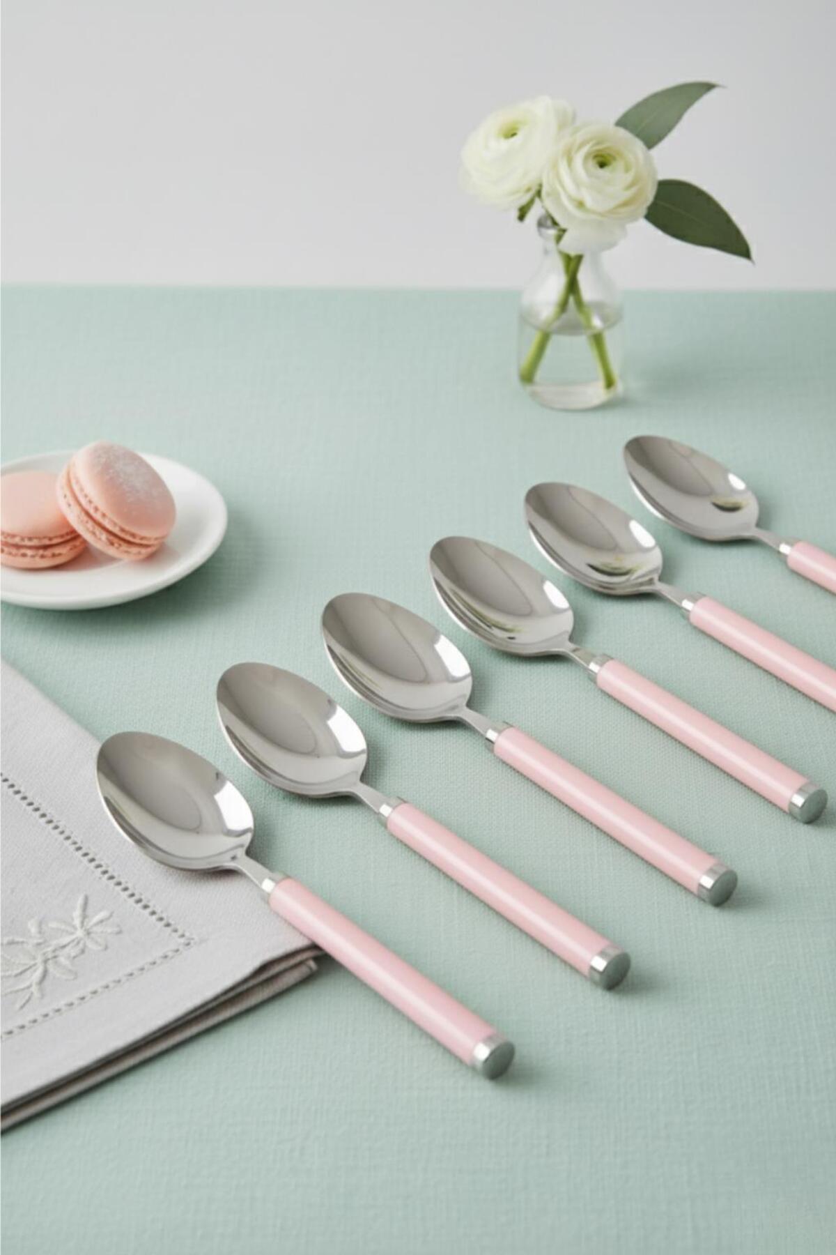 LTG Nova 6’Lı Paslanmaz Çelik Tatlı Kaşığı Seti Somon Pembe Saplı 15 Cm