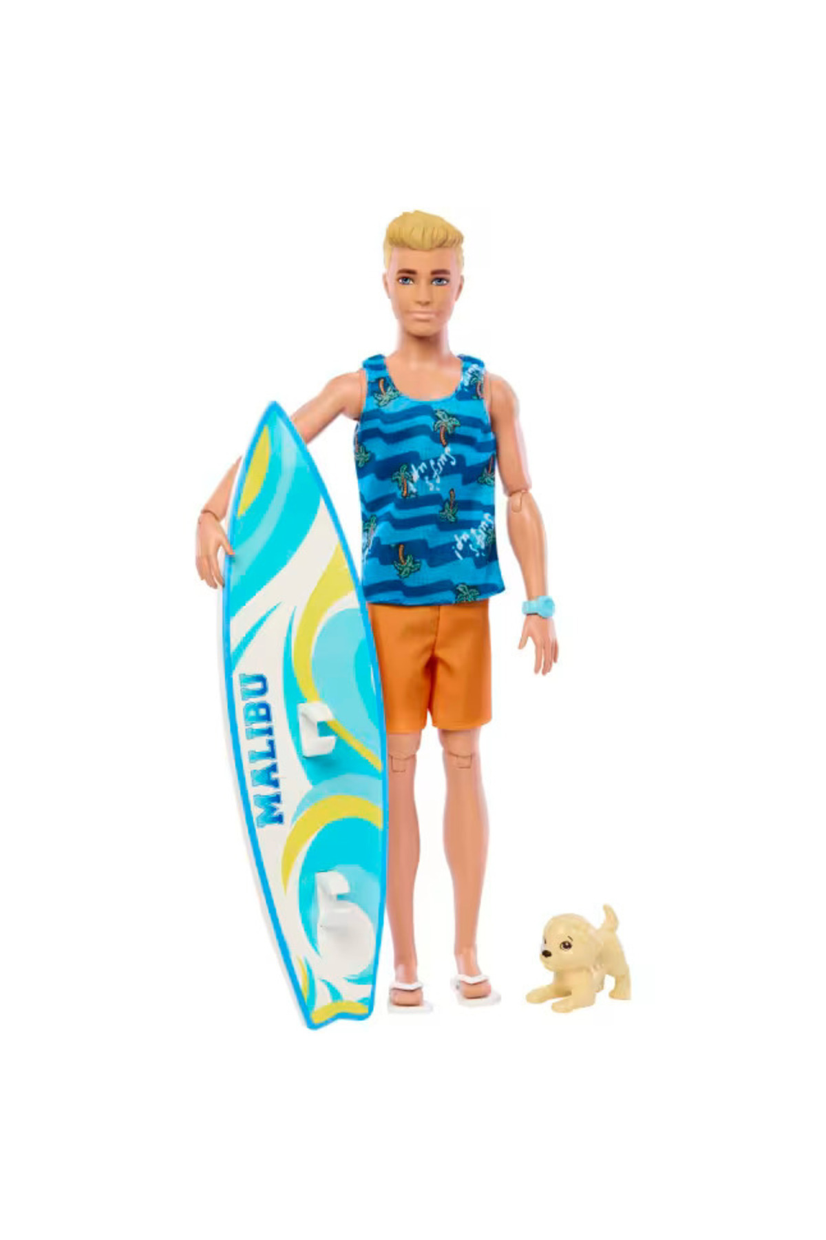 Barbie Ken Sörf Yapıyor Oyun Seti HPT50