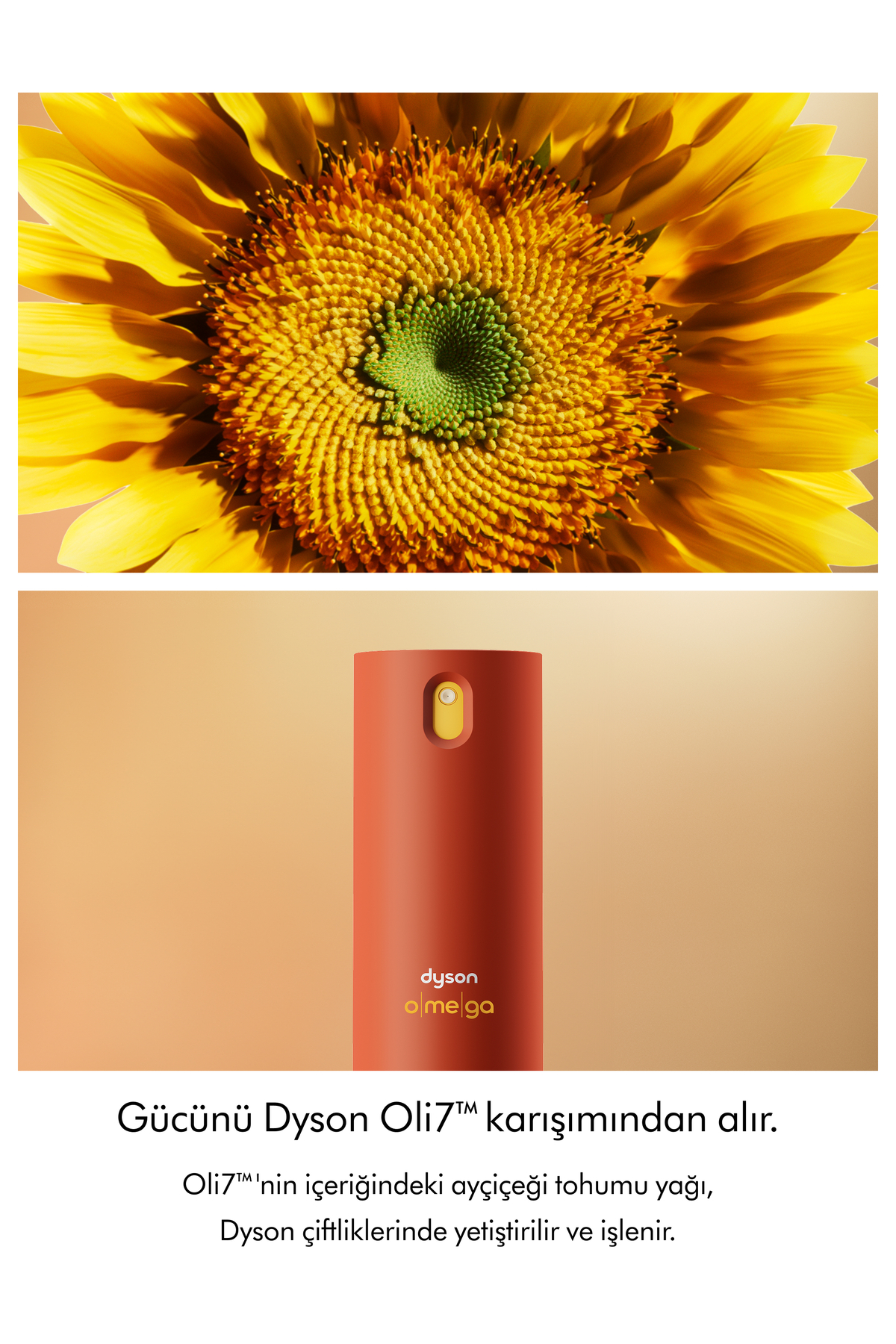 Omega™ durulanmayan saç bakım spreyi (165 ml) — 879469-01 — تصویر 3 از 8