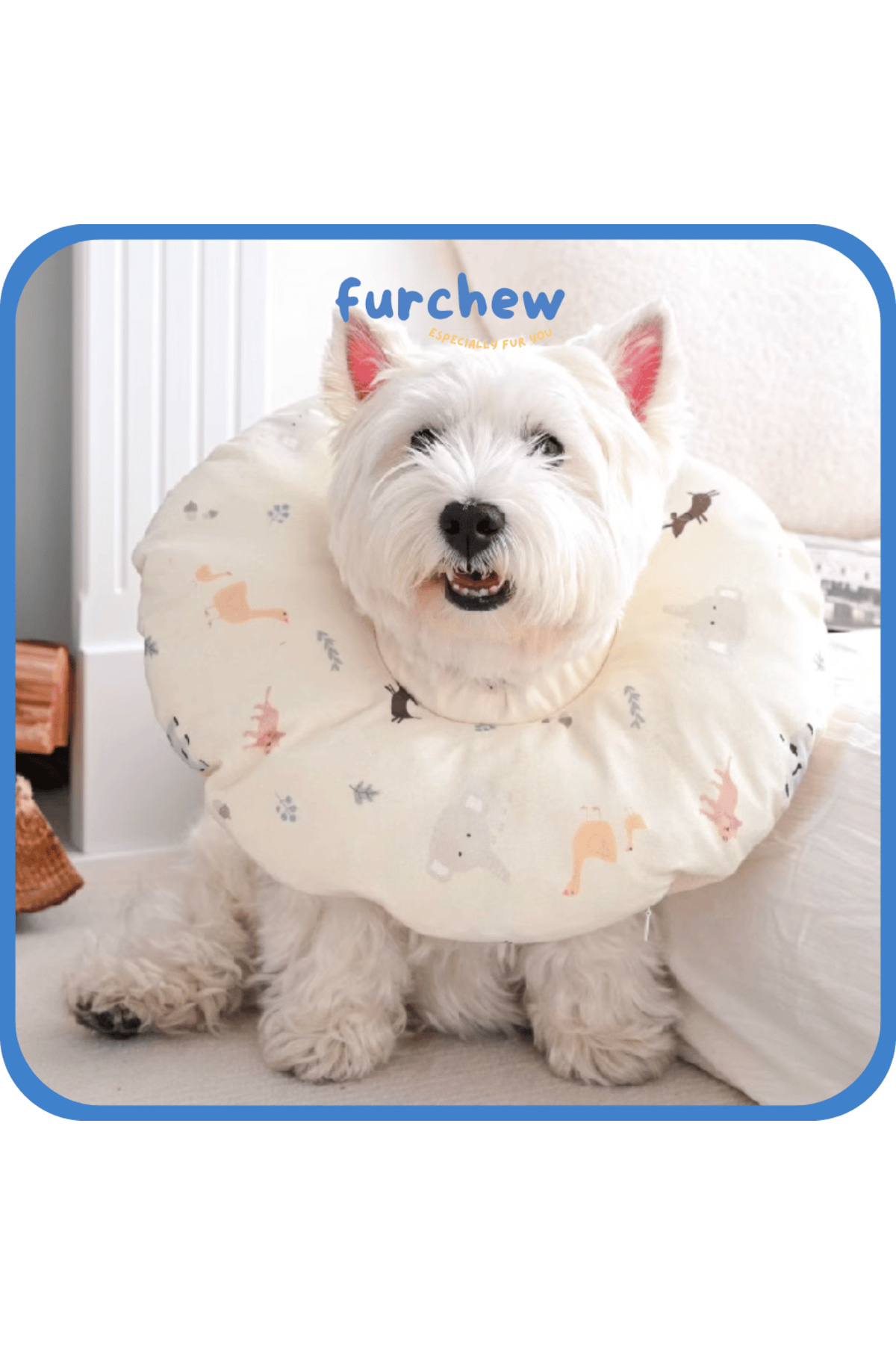 Benny Yastık Yakalık,Küçük ve Orta Irk Köpekler İçin Elizabeth Yakalık Large