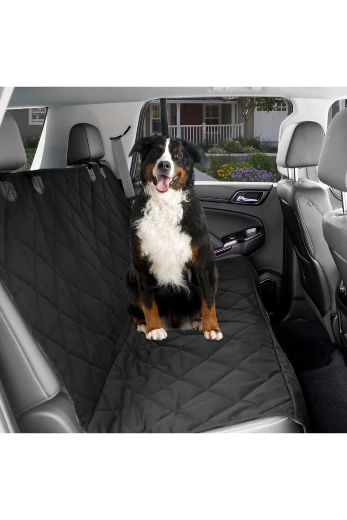 Pet seat sales covers near me